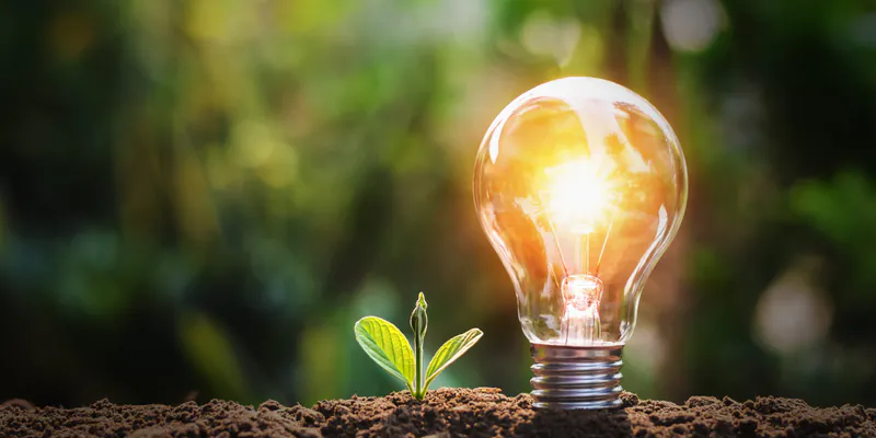 Leuchtende Glühbirne neben einem kleinen grünen Pflänzchen in der Erde als Symbol für nachhaltige Lichtideen und Energieeffizienz.