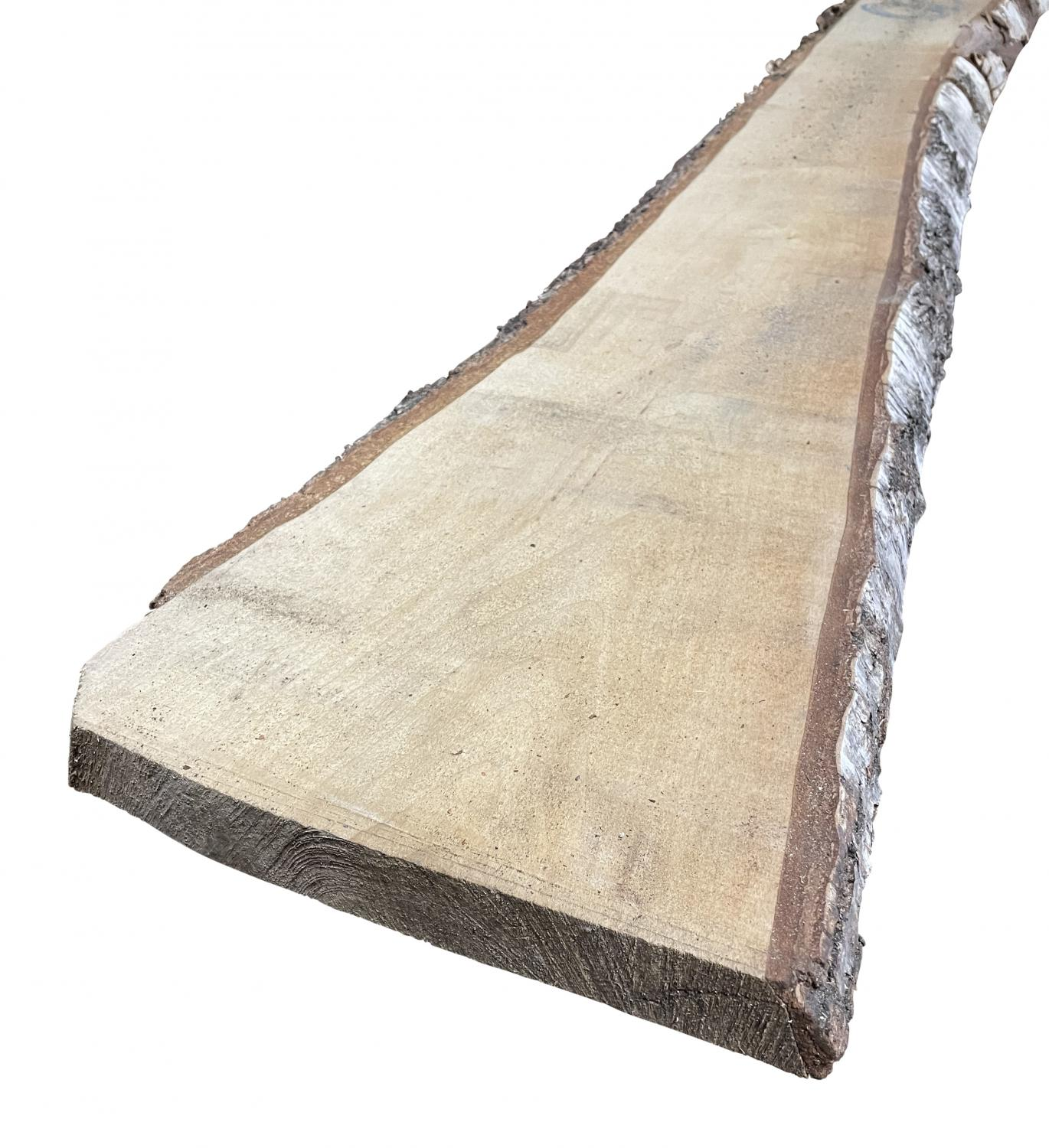 26 mm Birke, nordisch KD_0 26 mm Birke, nordisch KD_0