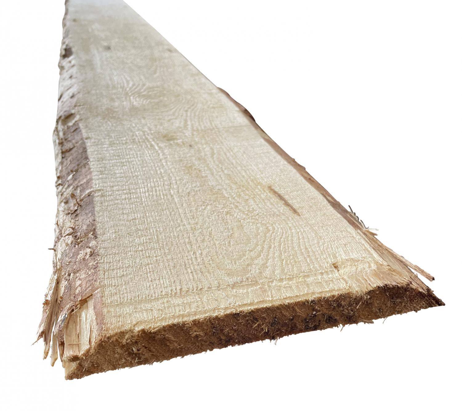 26 mm Kiefer Seitenware, KD_0 26 mm Kiefer Seitenware, KD_0