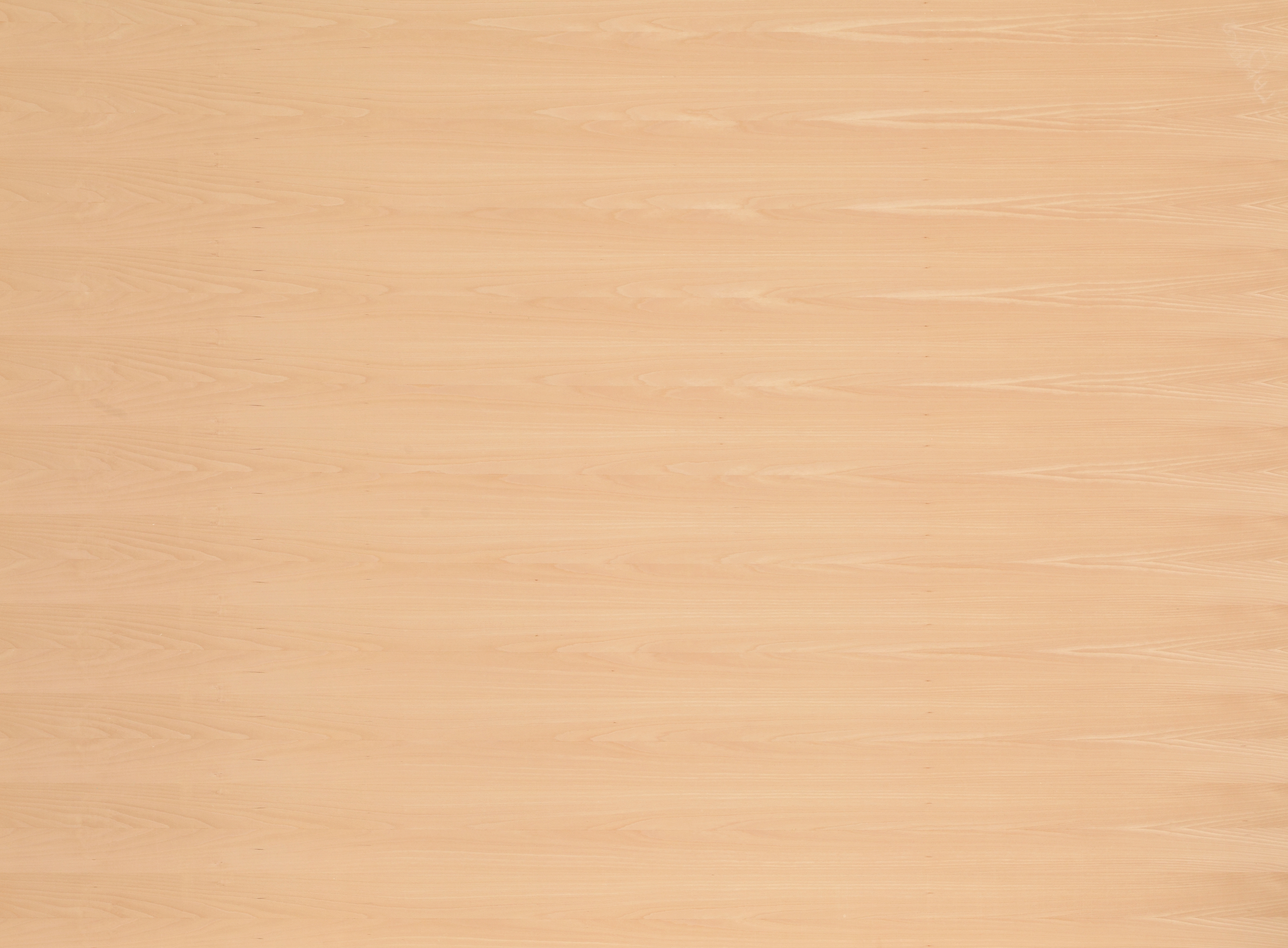 19 mm Buche furnierte Spanplatte - E1 P2 CE (blumig)_0 19 mm Buche furnierte Spanplatte - E1 P2 CE (blumig)_0