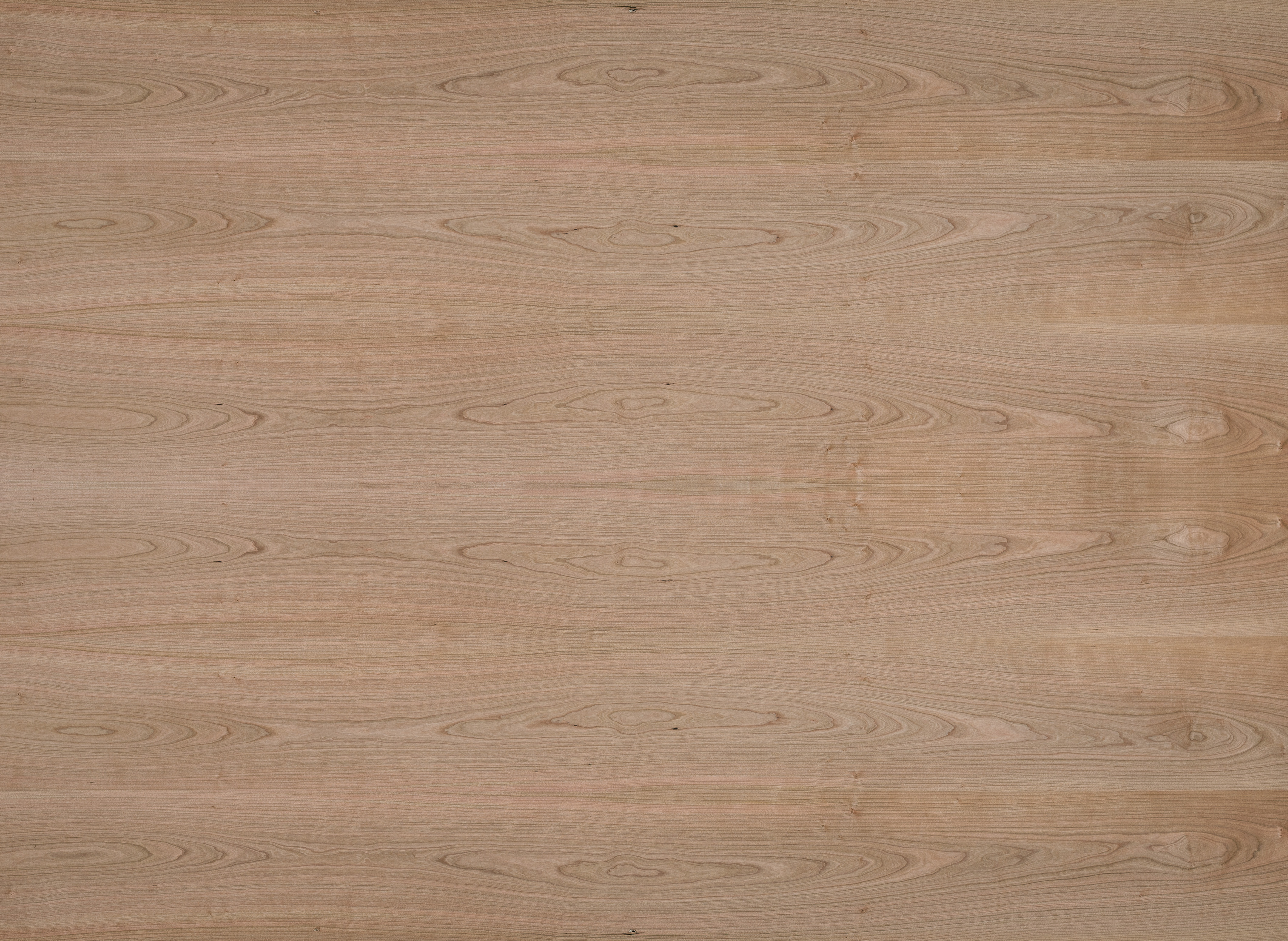 9 mm amerik. Kirschbaum furnierte Spanplatte - E1 P2 CE_0