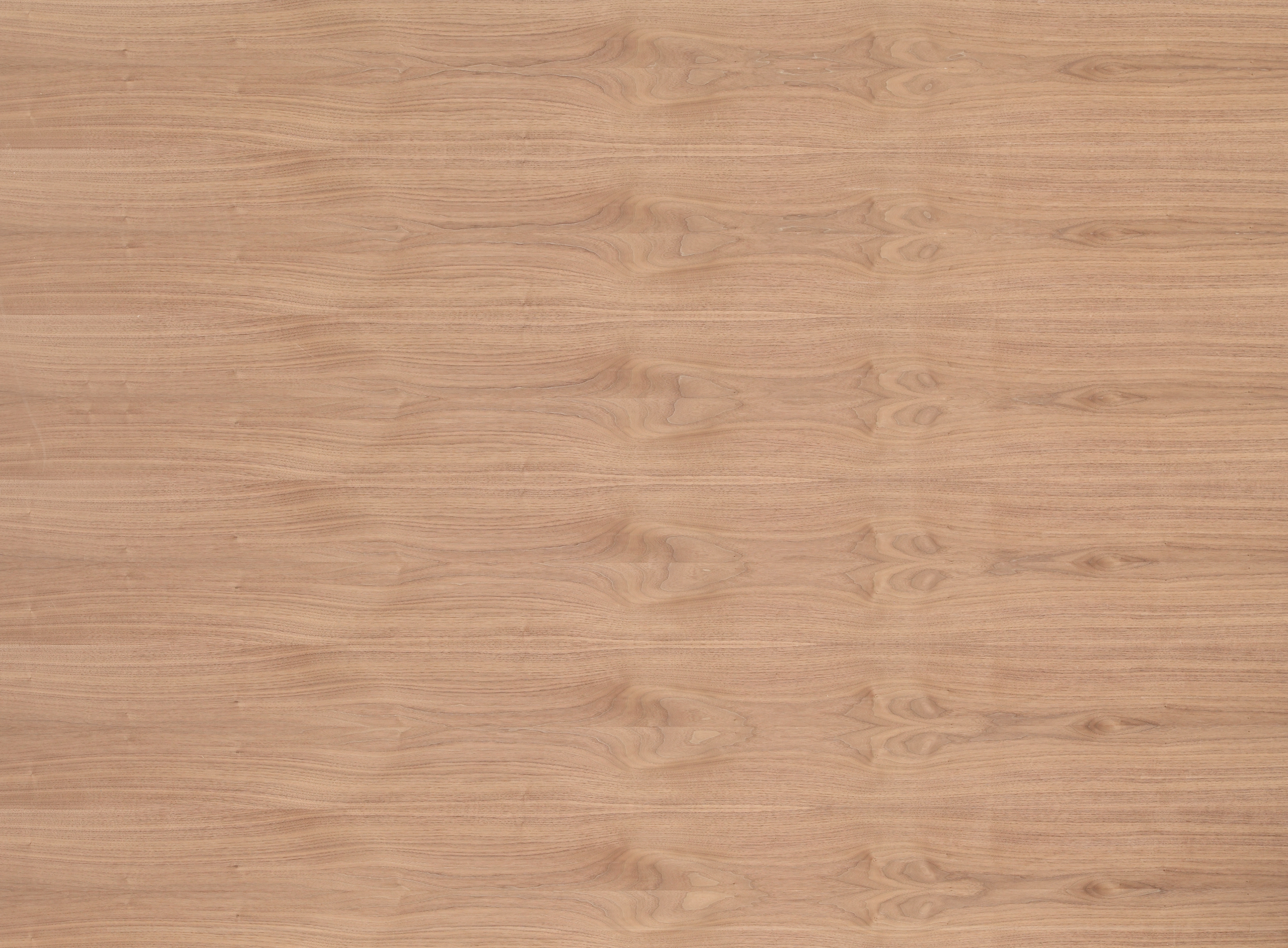 16 mm amerik. Nussbaum furnierte Spanplatte - E1 P2 CE_0 16 mm amerik. Nussbaum furnierte Spanplatte - E1 P2 CE_0