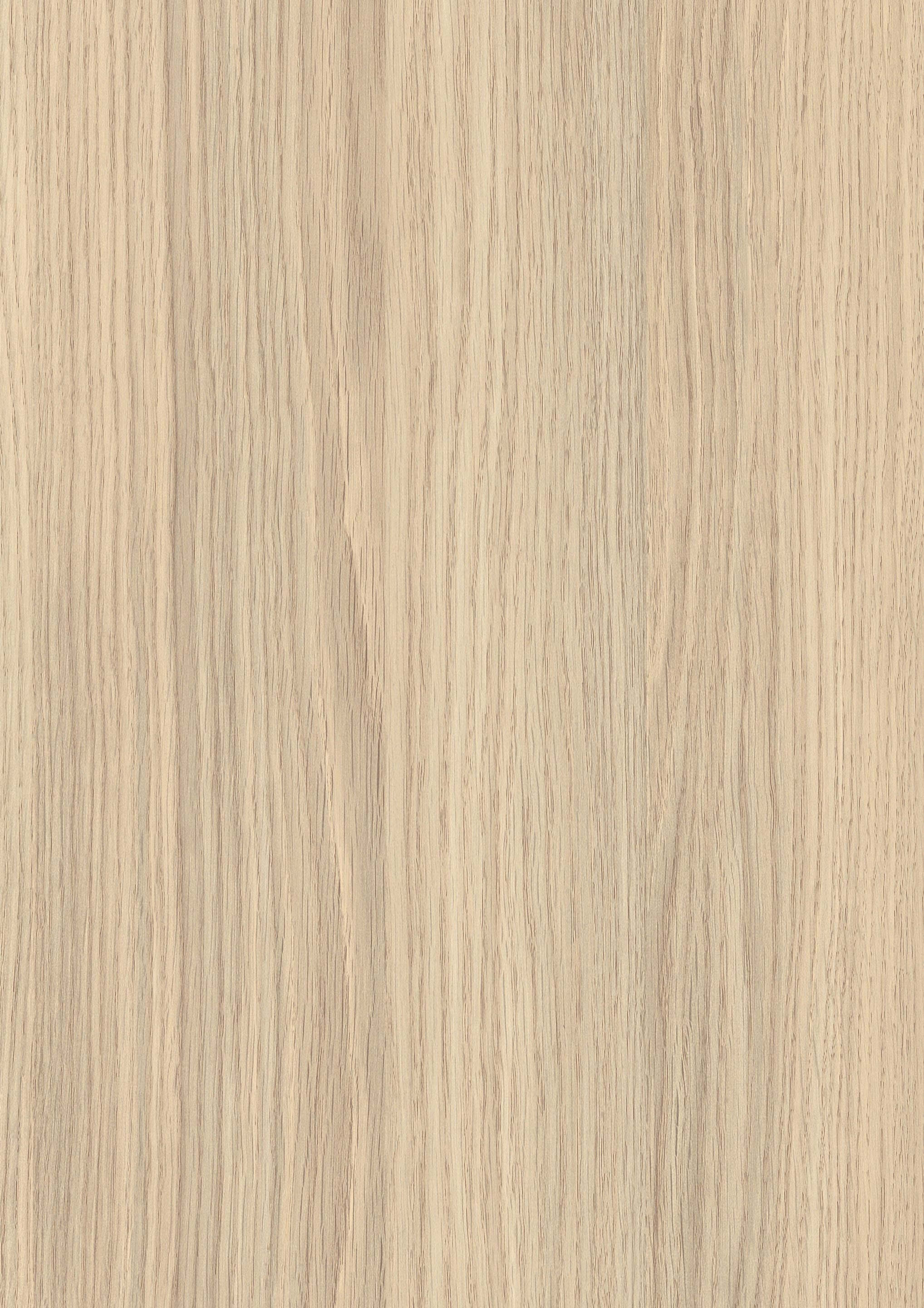 19 mm Egger Eurodekor Span H3165 ST12_0