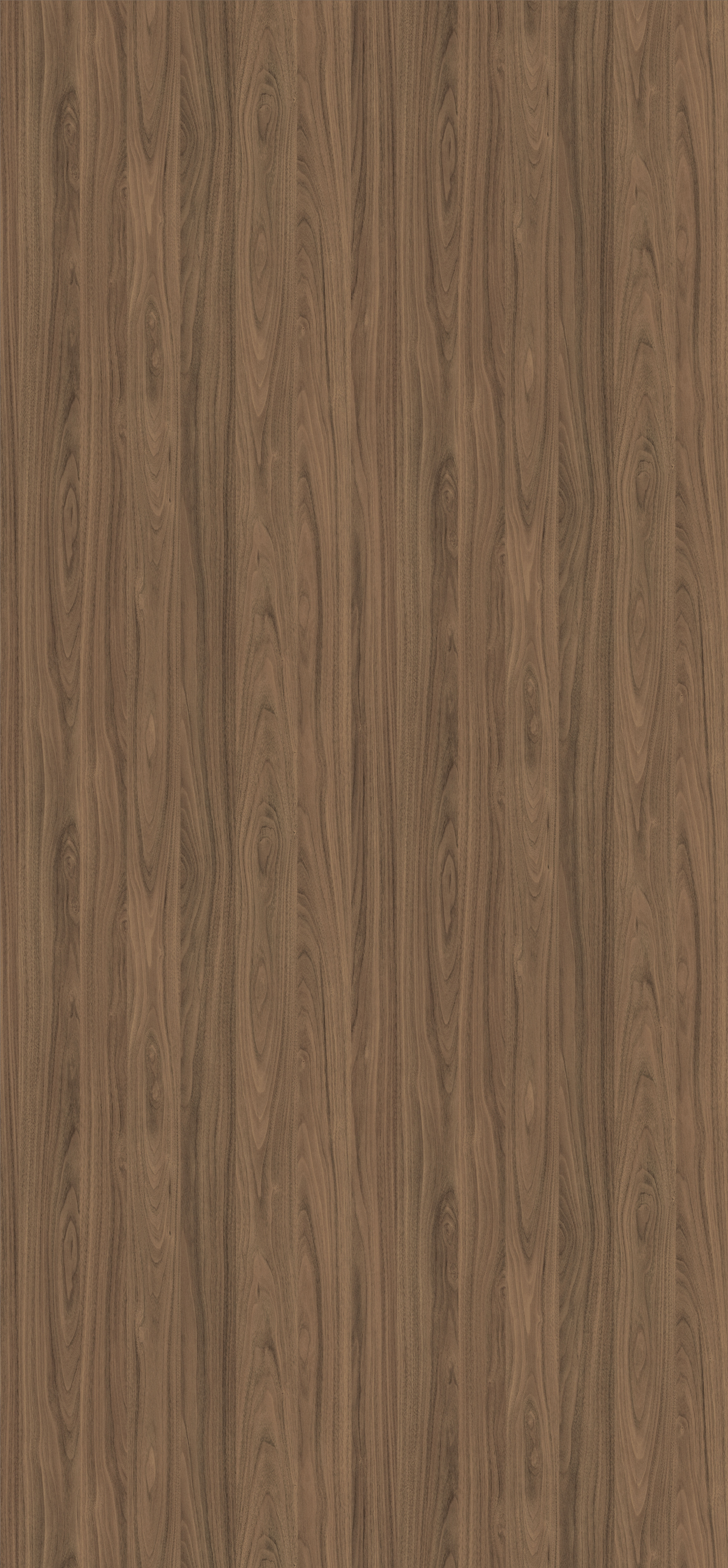 0,8 mm Egger Schichtstoff H3710 ST12_1 0,8 mm Egger Schichtstoff H3710 ST12_1