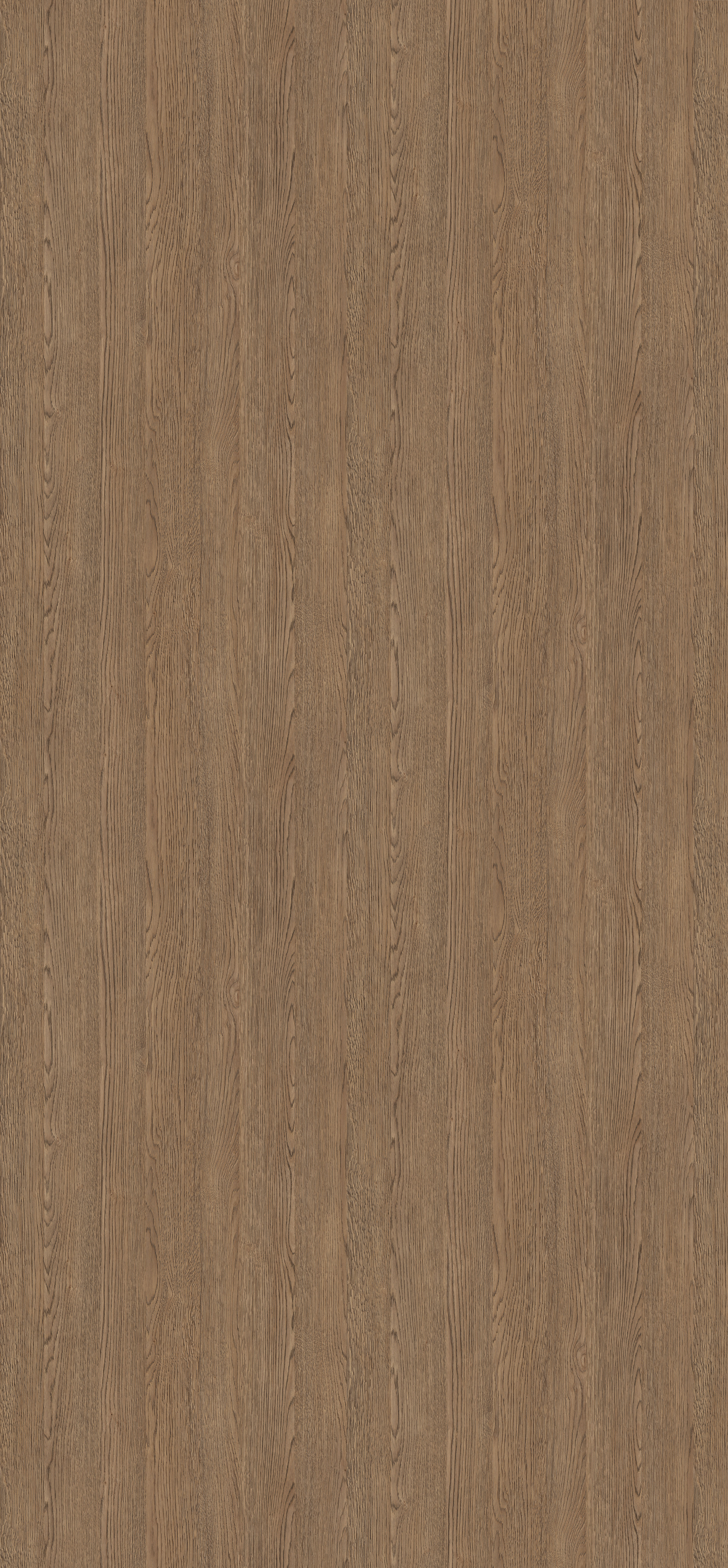 0,8 mm Egger Schichtstoff H1303 ST12_1