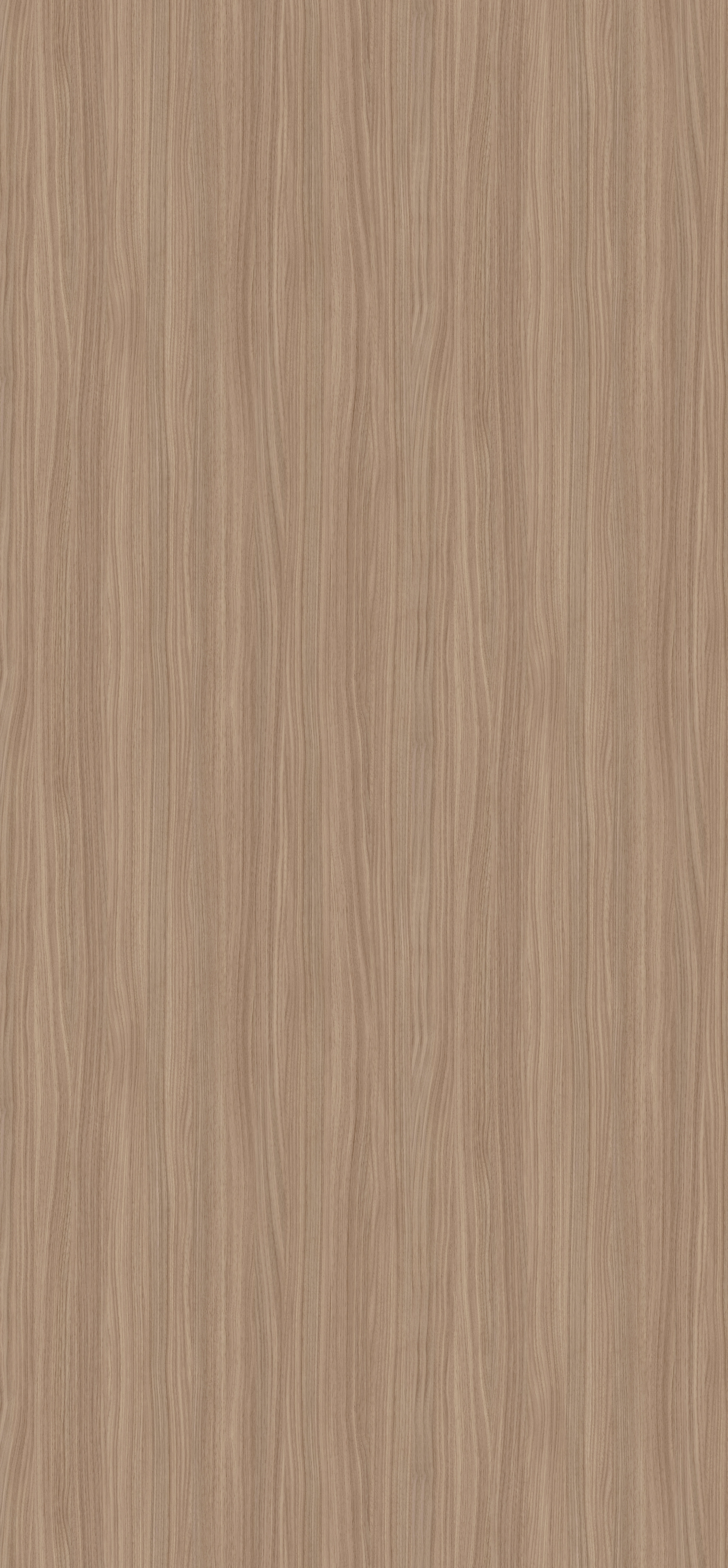 0,8 mm Egger Schichtstoff H7604 ST17_1