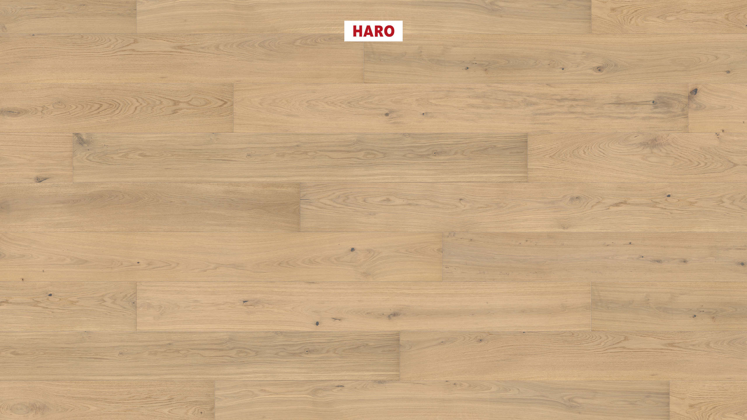 13,5 mm HARO Parkett Serie 4000 - Eiche lichtweiß Markant, strukturiert 4V_0