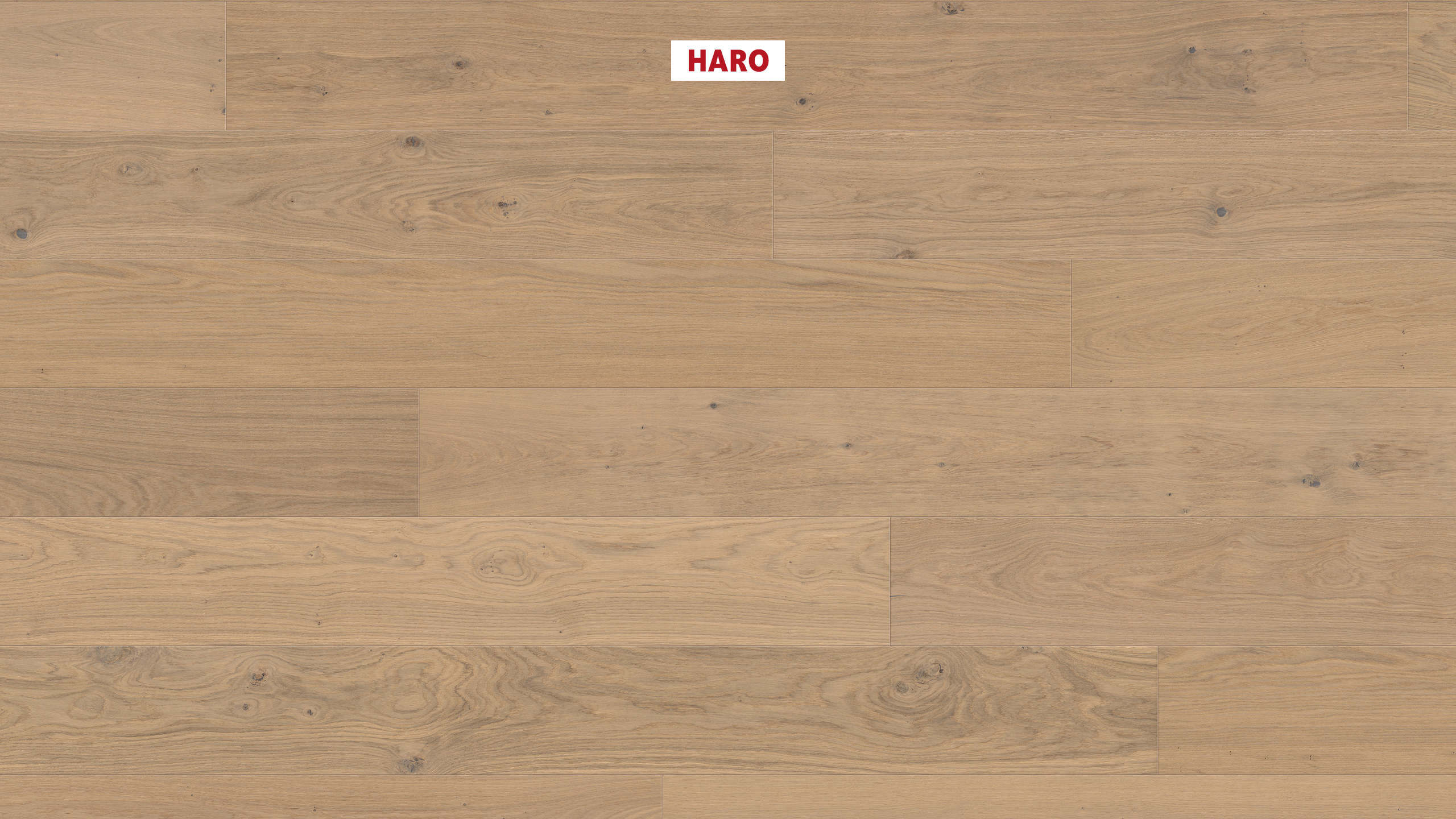 13,5 mm HARO Parkett Serie 4000 - Eiche lichtweiß Sauvage, strukturiert 4V_0