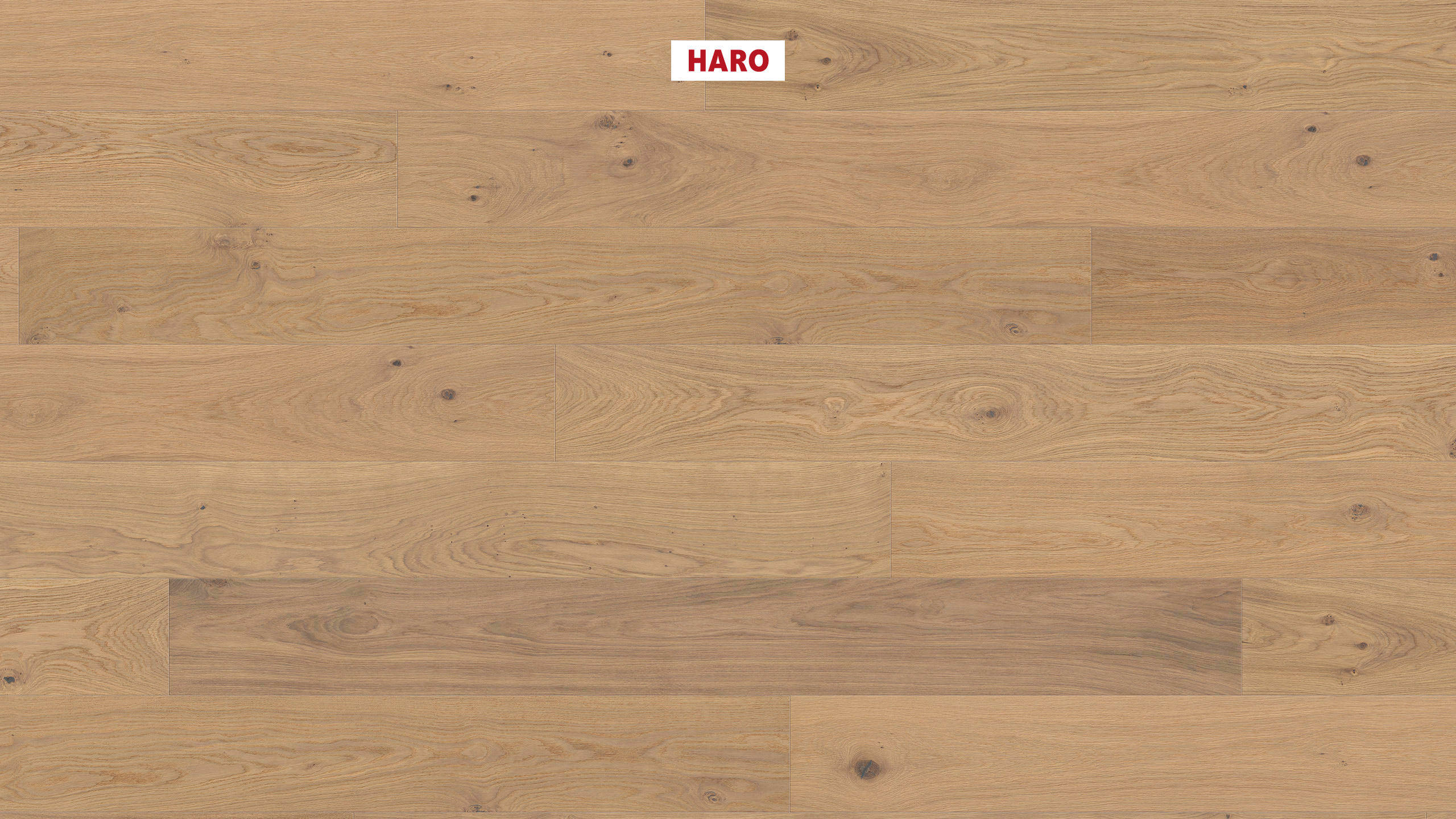 13,5 mm HARO Parkett Serie 4000 - Eiche puroweiß Sauvage, strukturiert 4V_0