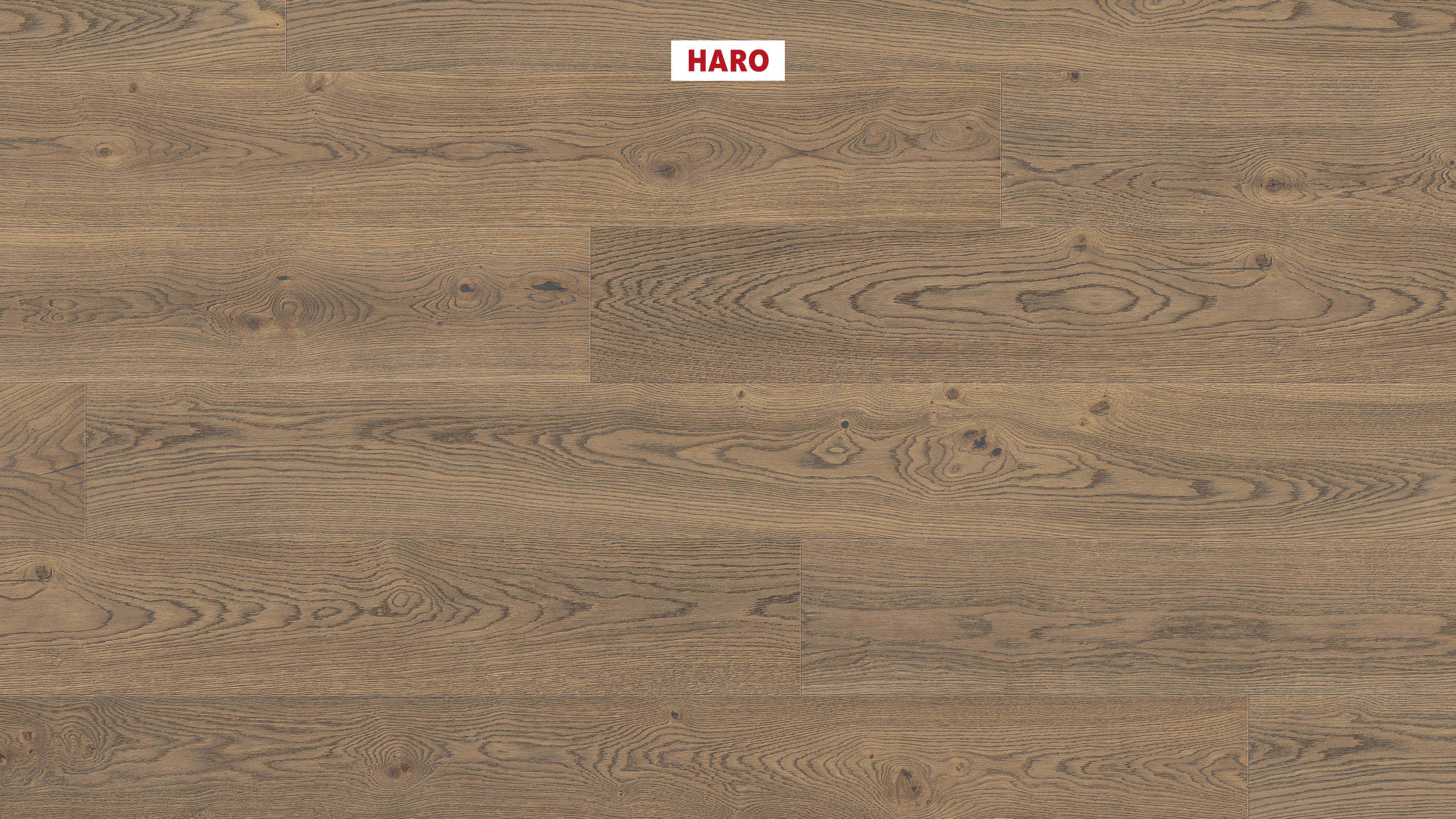 13,5 mm HARO Parkett Serie 4000 - Eiche tabakgrau Universal, alpin strukturiert 4V_0