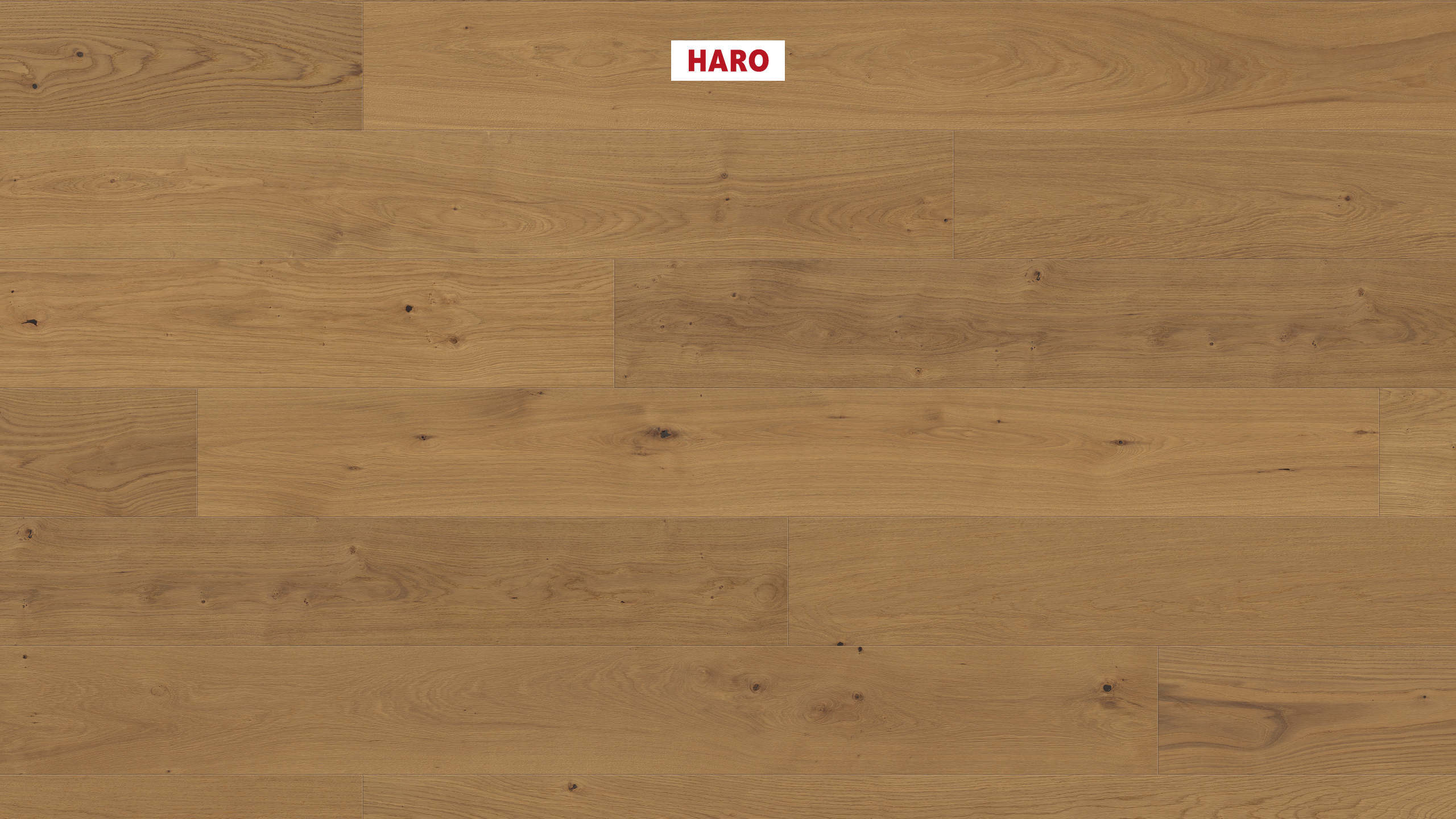 13,5 mm HARO Parkett Serie 4000 - Eiche invisible Markant, strukturiert 4V_0