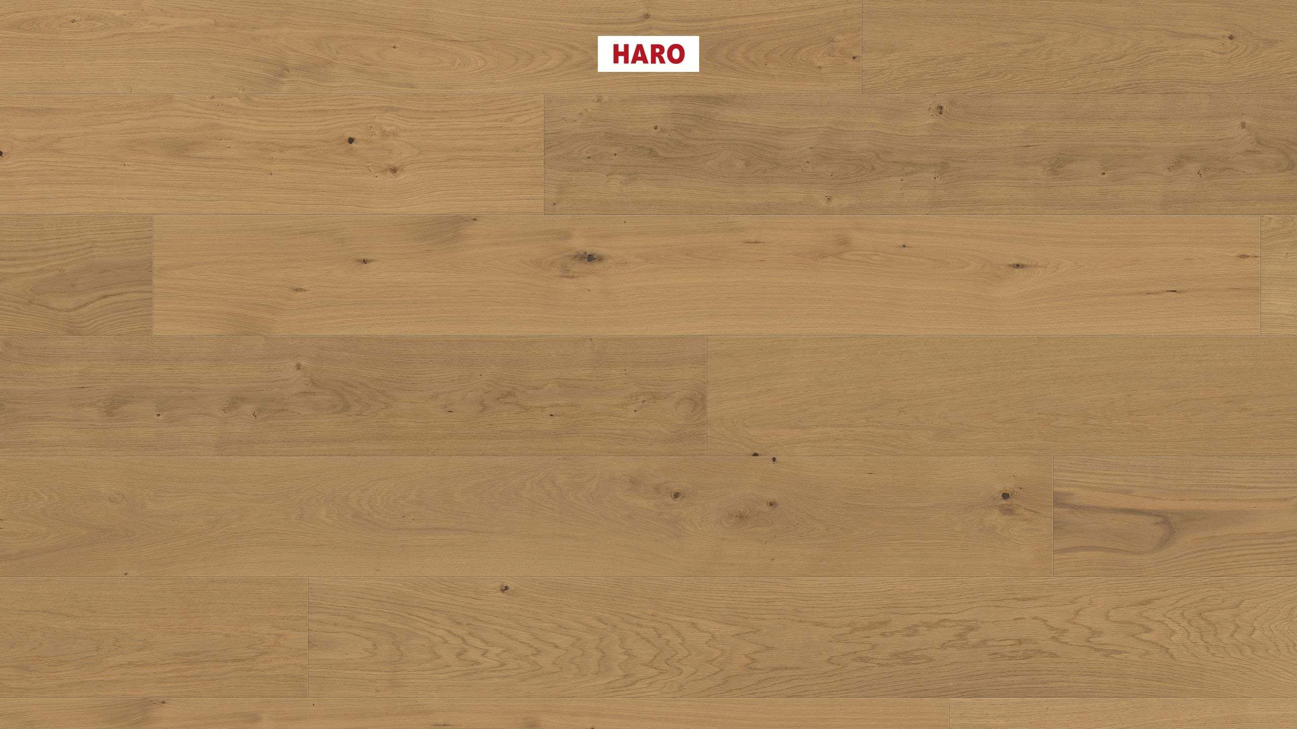 13,5 mm HARO Parkett Serie 4000 - Eiche invisible Markant, strukturiert 4V_0
