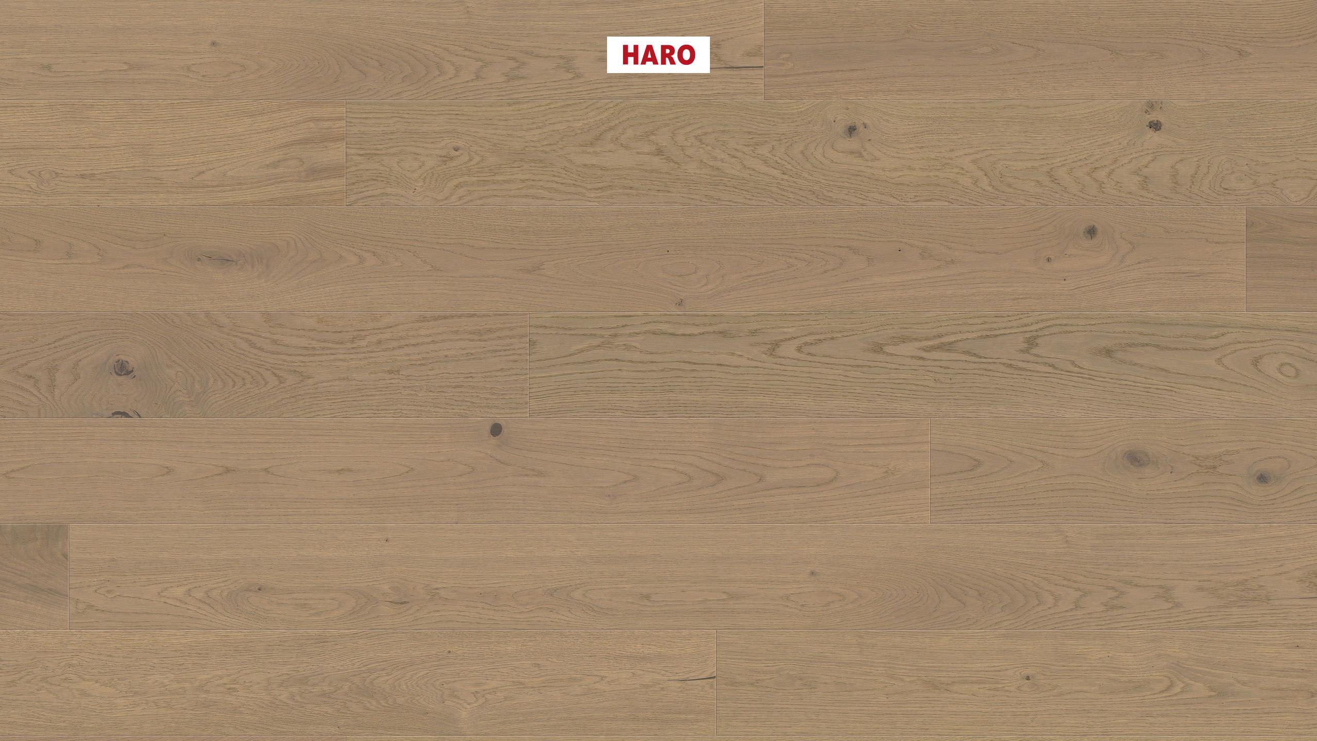 13,5 mm HARO Parkett Serie 4000 - Eiche sandgrau Sauvage, strukturiert 4V_0