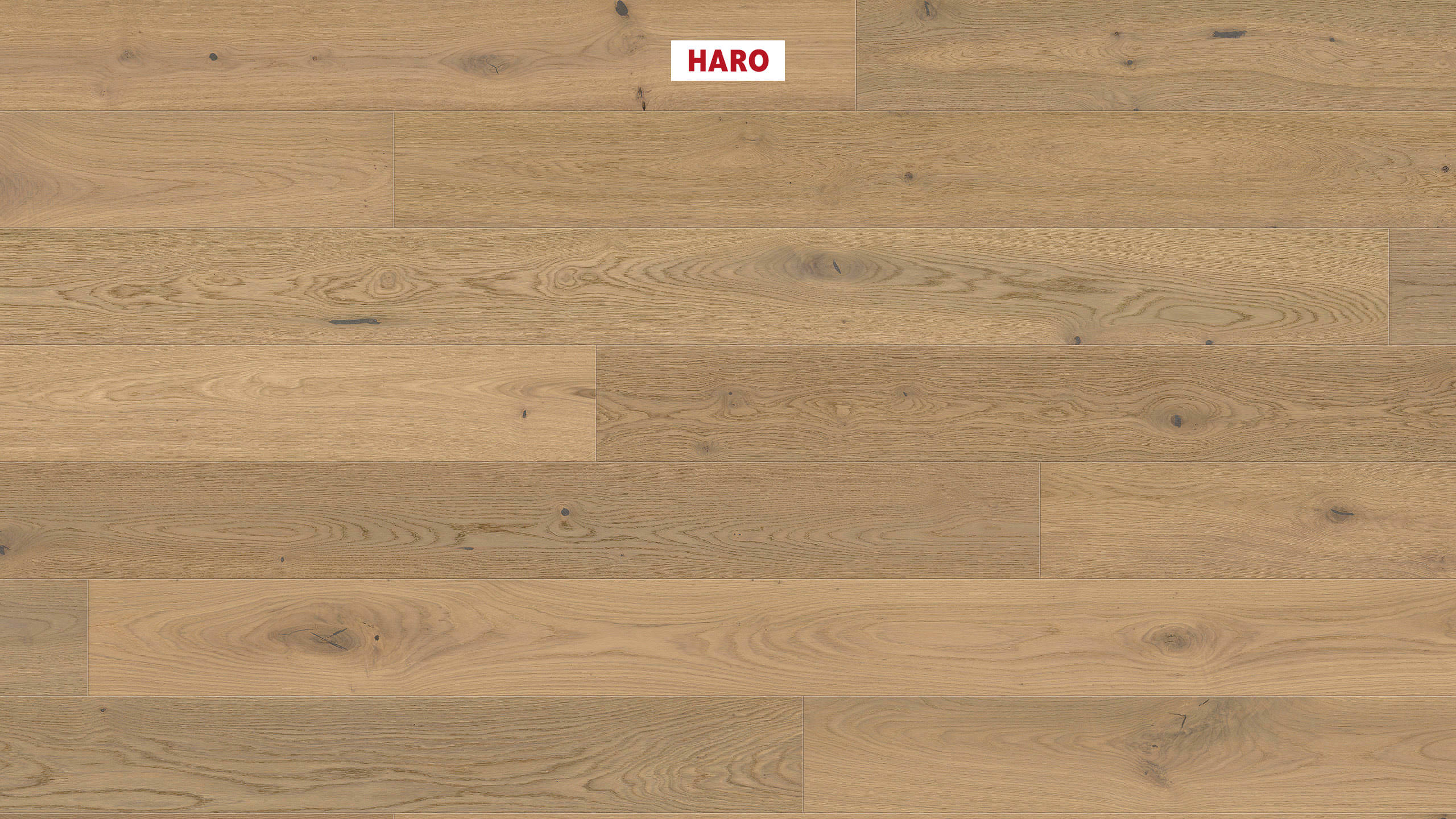 13,5 mm HARO Parkett Serie 4000 - Raucheiche puroweiß Sauvage, strukturiert 4V_0