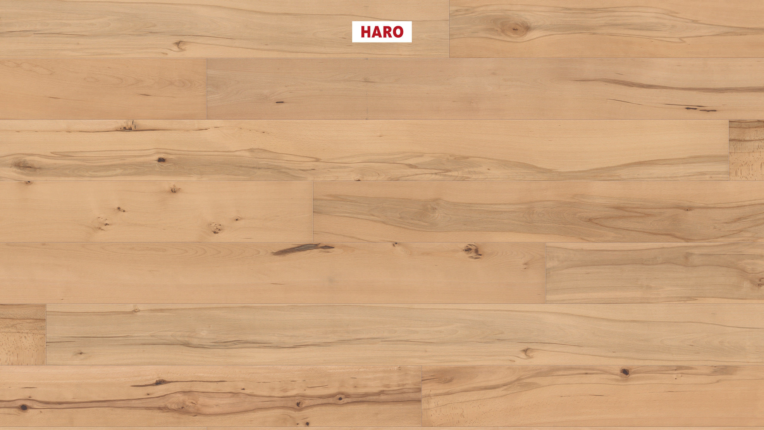 13,5 mm HARO Parkett Serie 4000 - Buche gedämpft Universal, 4V_0