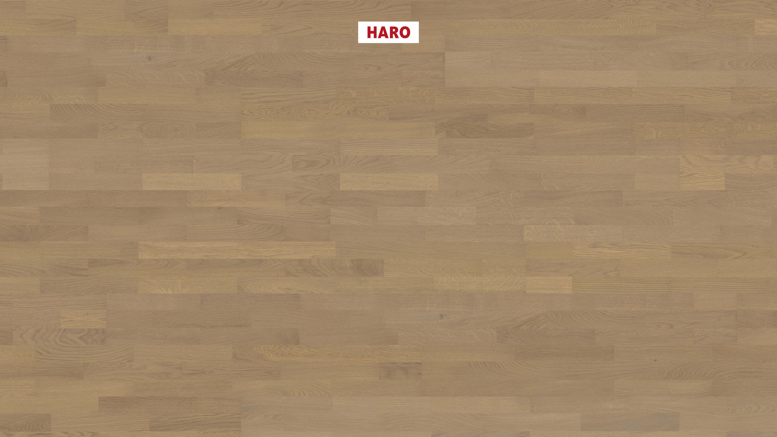 13,5 mm HARO Parkett Serie 4000 - Eiche sandgrau Naturale, strukturiert_0