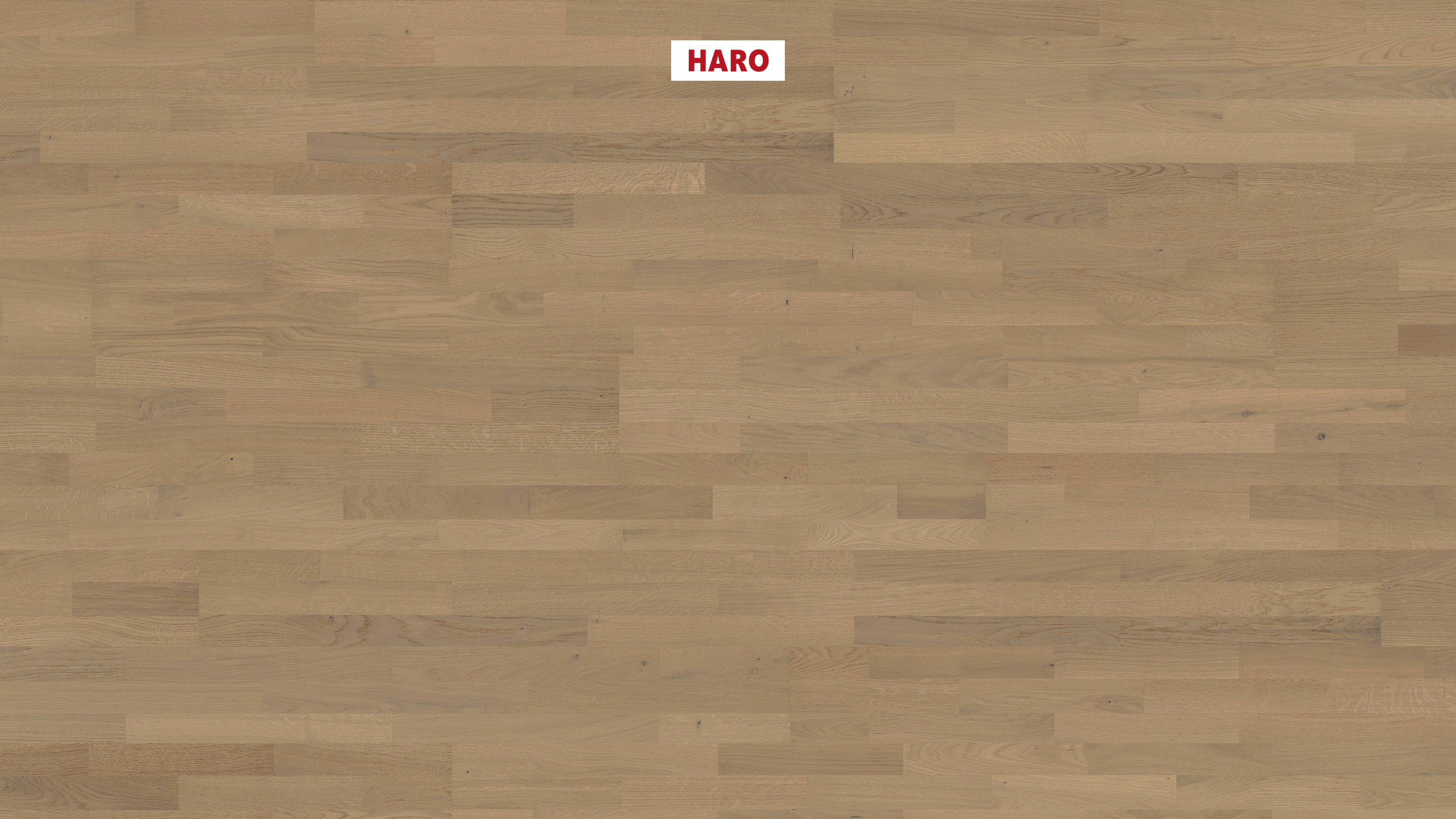 13,5 mm HARO Parkett Serie 4000 - Eiche sandgrau Naturale, strukturiert_0