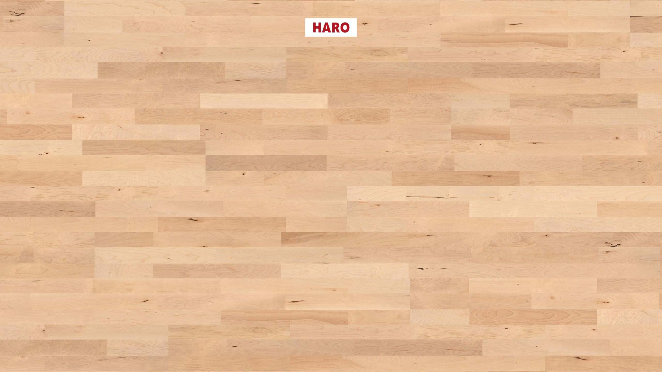 13,5 mm HARO Parkett Serie 4000 - Canadischer Ahorn Favorit_0