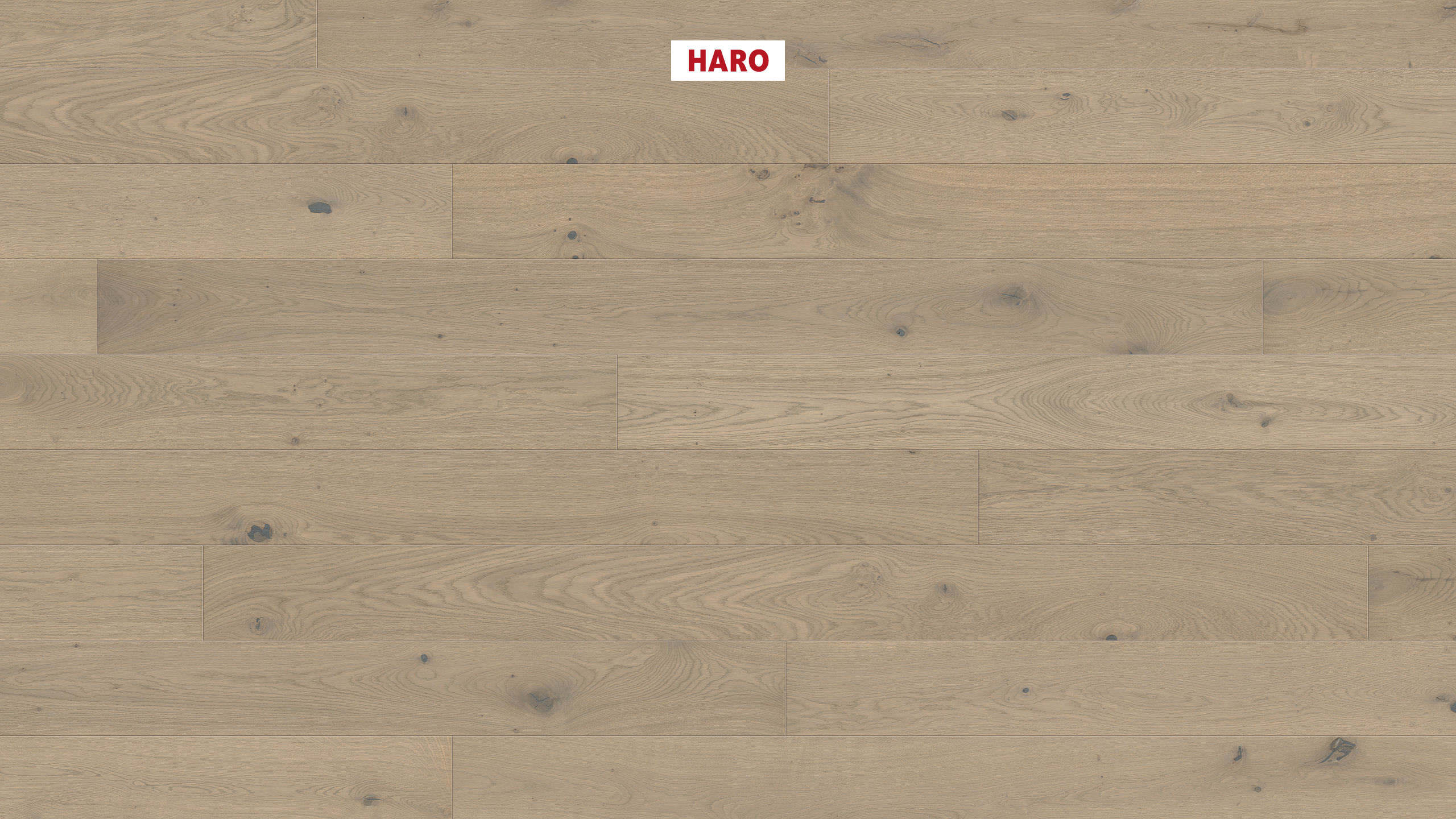 11 mm HARO Parkett Serie 4000 - Eiche sandgrau Sauvage, strukturiert 4V_0