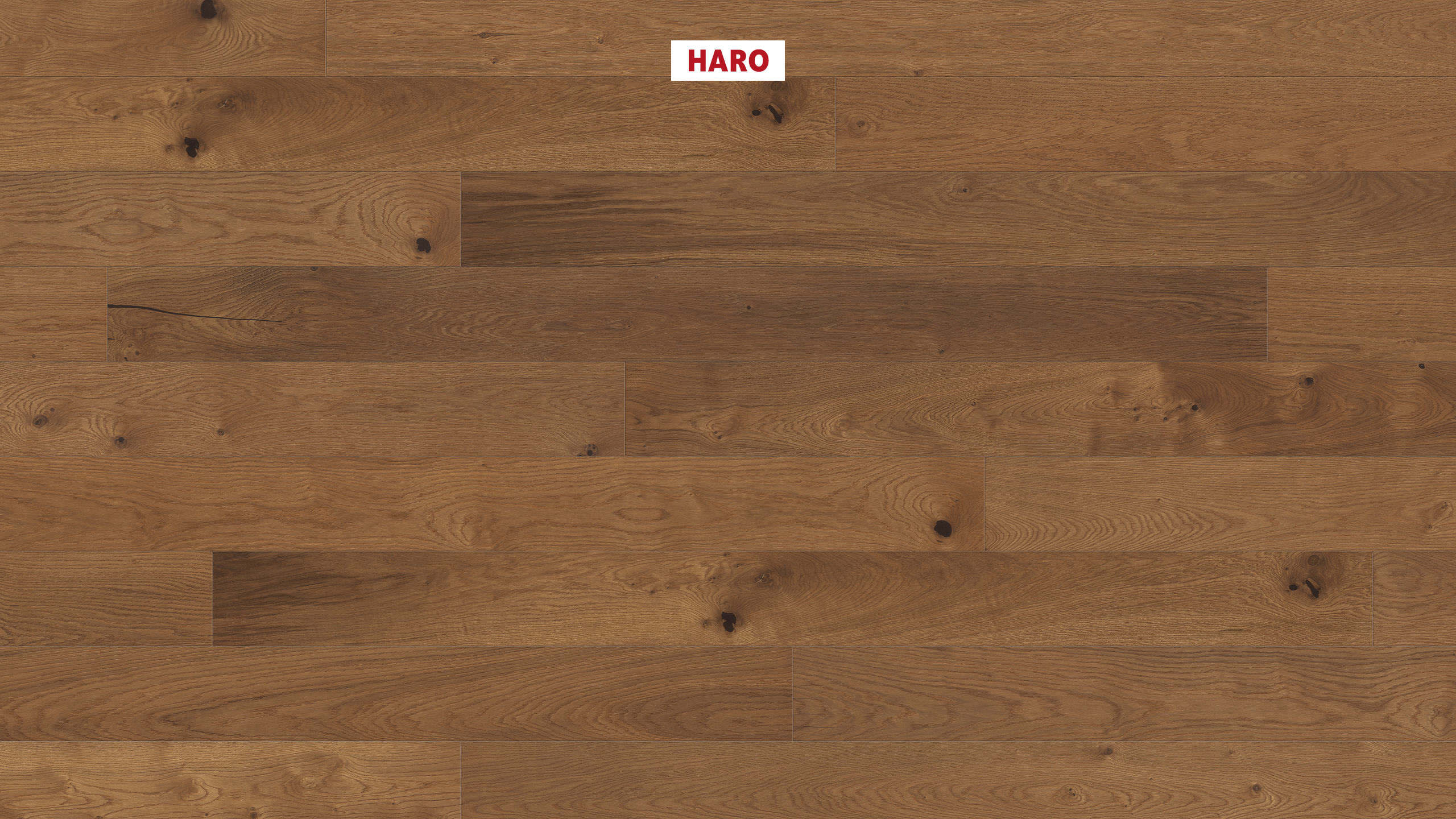 11 mm HARO Parkett Serie 4000 - Bernsteineiche Sauvage, strukturiert 4V_0