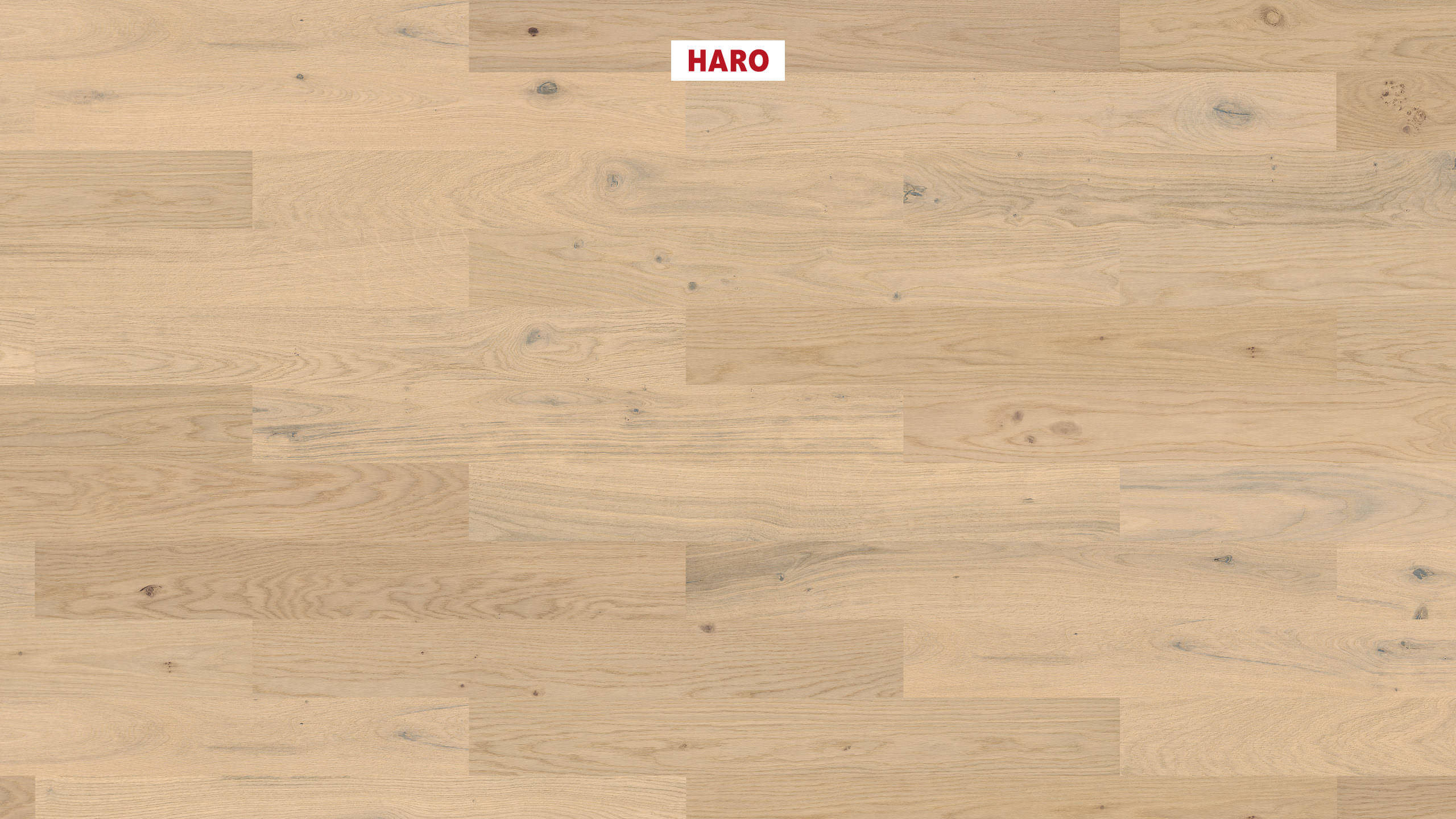 10 mm HARO Parkett Serie 4000 - Eiche lichtweiß Sauvage, strukturiert_0