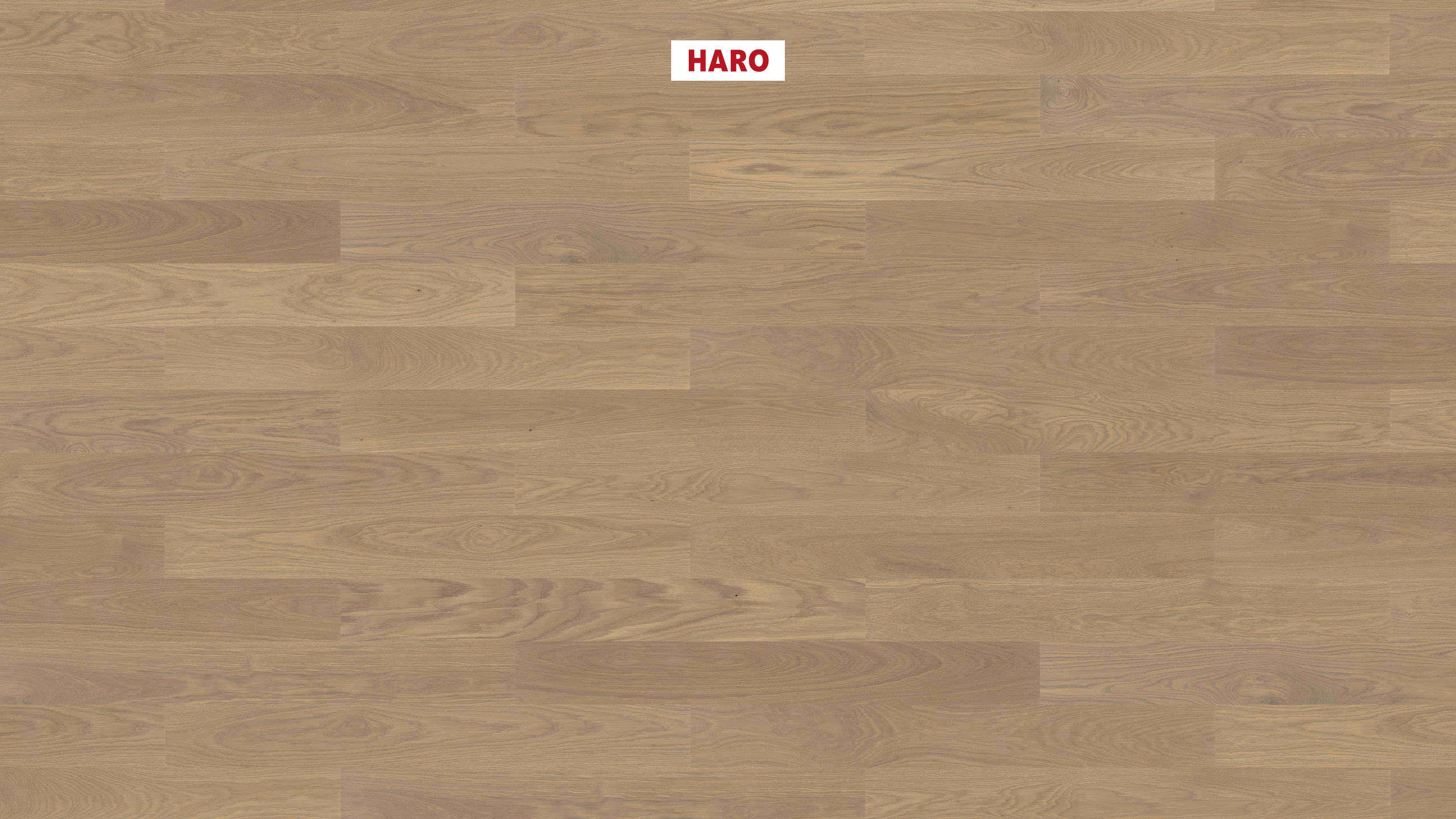 10 mm HARO Parkett Serie 4000 - Eiche sandgrau Markant, strukturiert_0