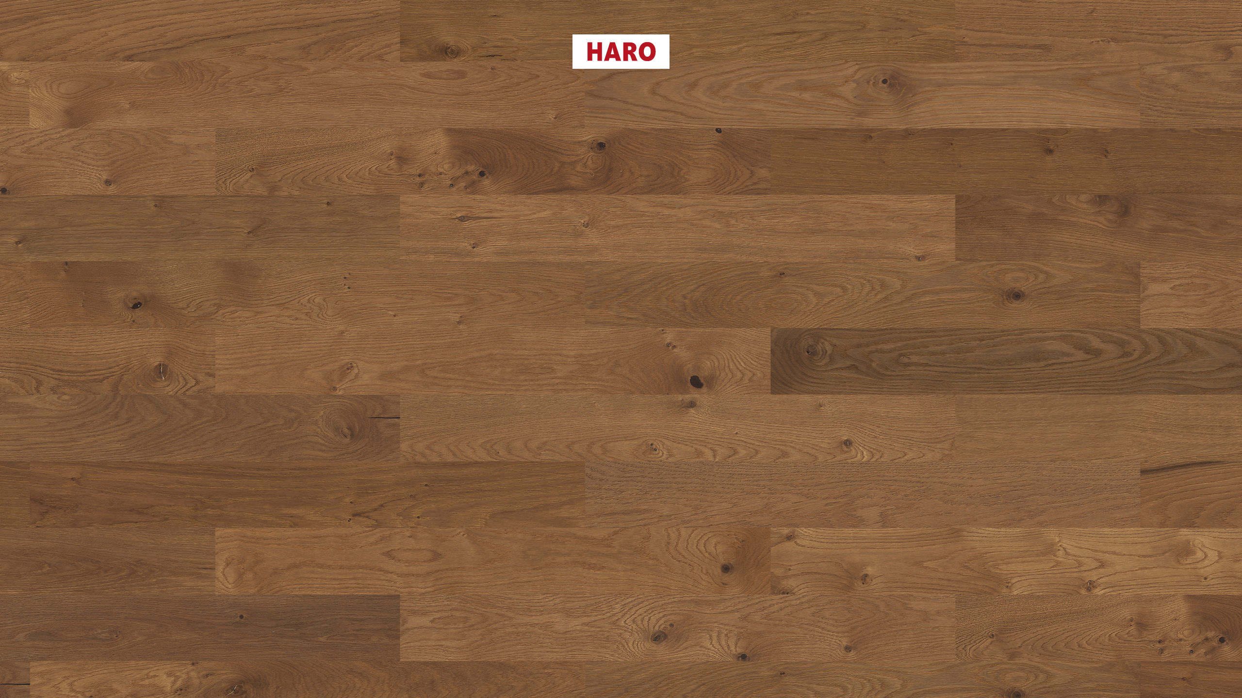 10 mm HARO Parkett Serie 4000 - Bernsteineiche Sauvage, strukturiert_0 10 mm HARO Parkett Serie 4000 - Bernsteineiche Sauvage, strukturiert_0