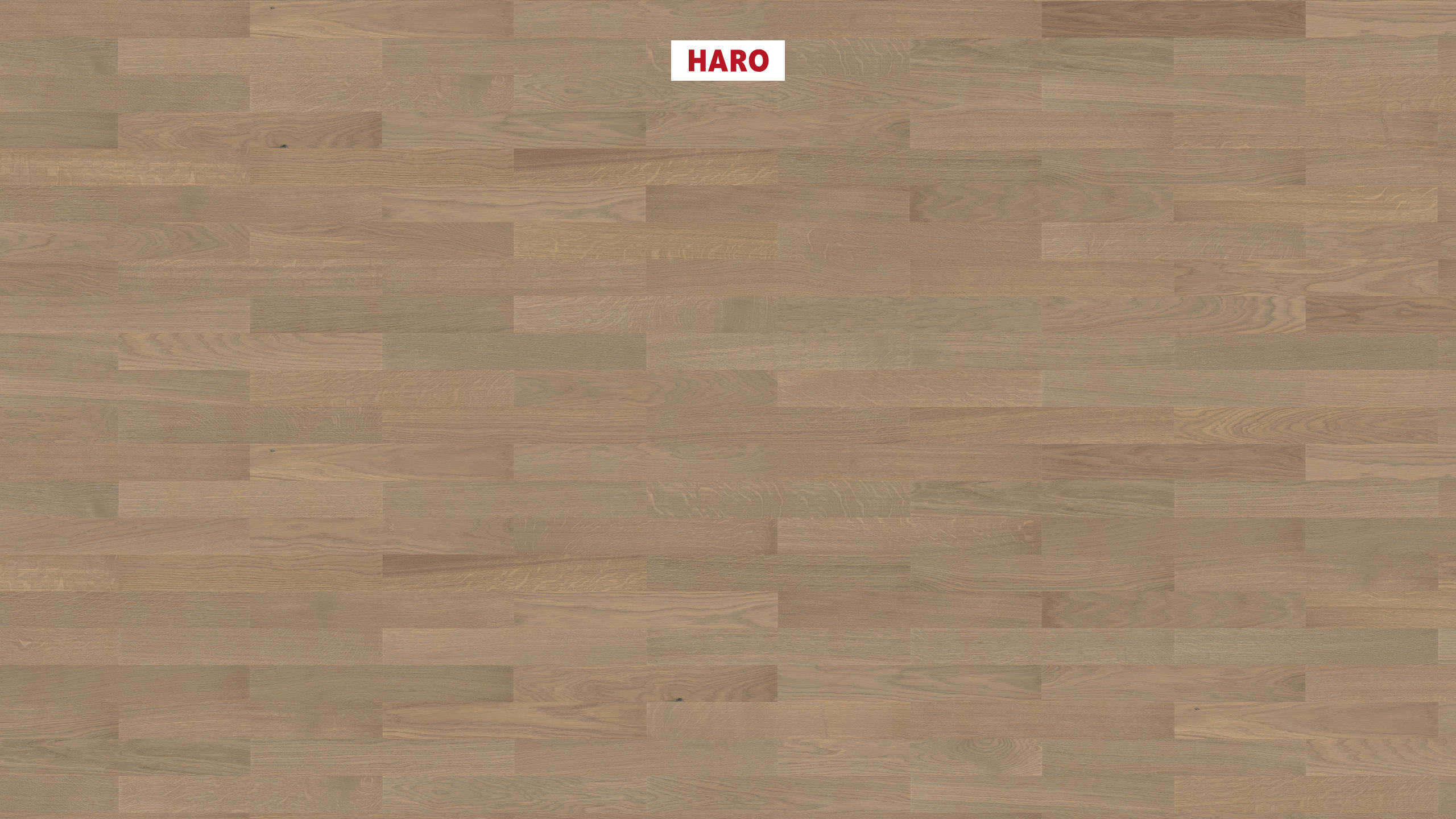 10 mm HARO Parkett Serie 4000 - Eiche sandgrau Trend, strukturiert_0