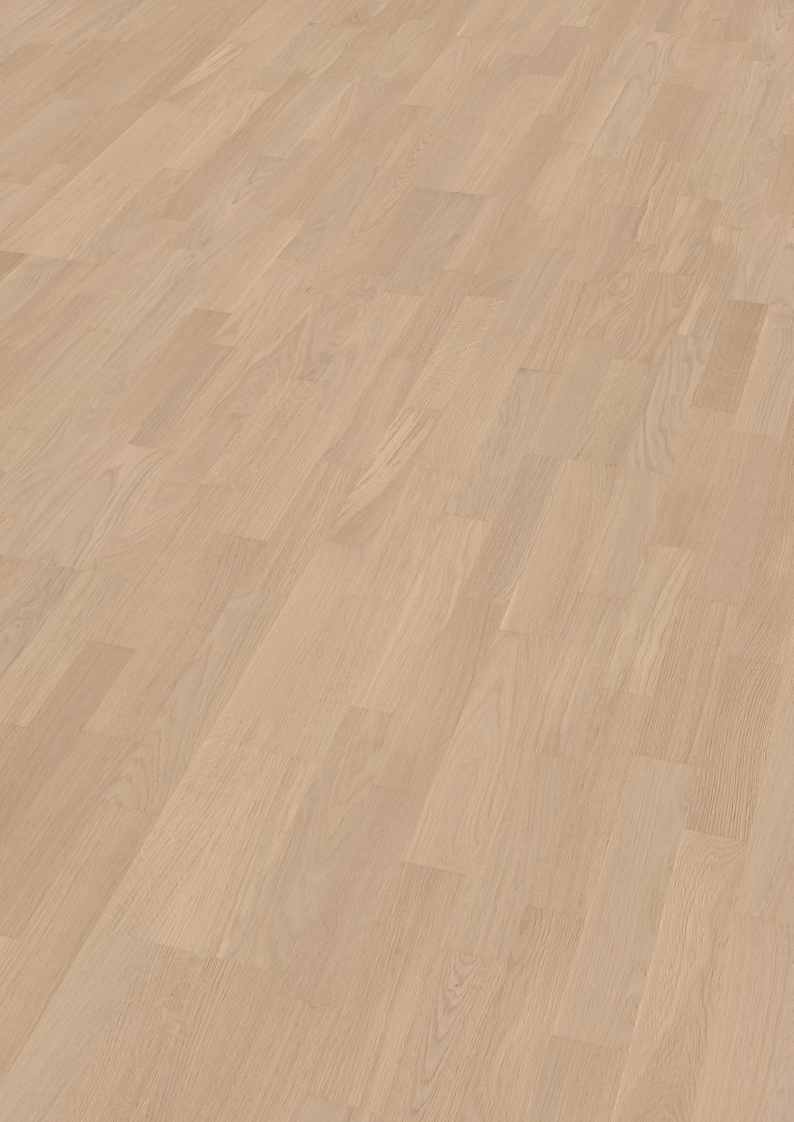 14 mm ter Hürne Parkett EVO - Eiche Beverly Crest_1 14 mm ter Hürne Parkett EVO - Eiche Beverly Crest_1