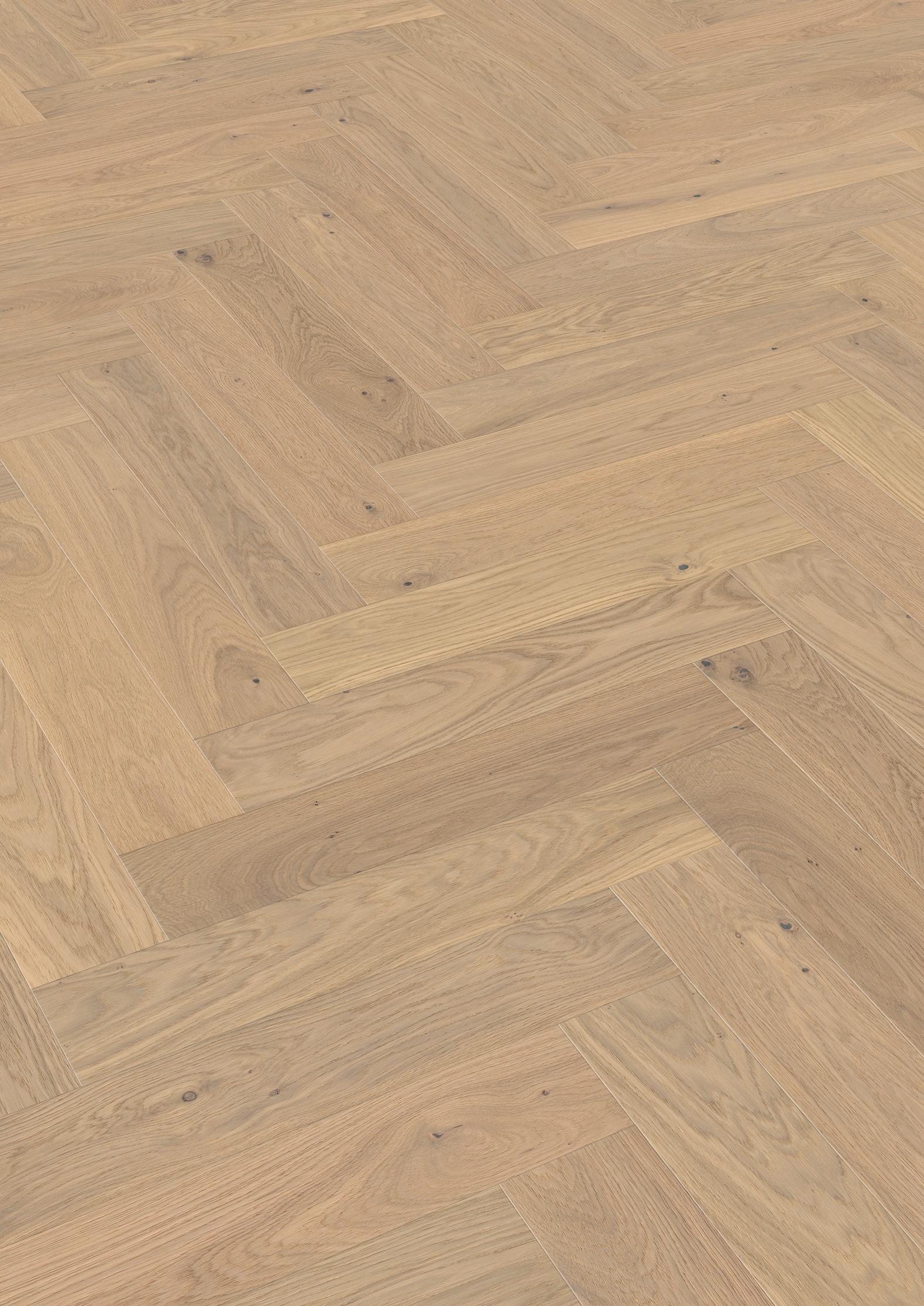 14 mm ter Hürne Parkett EVO - Eiche Kralingen_1 14 mm ter Hürne Parkett EVO - Eiche Kralingen_1