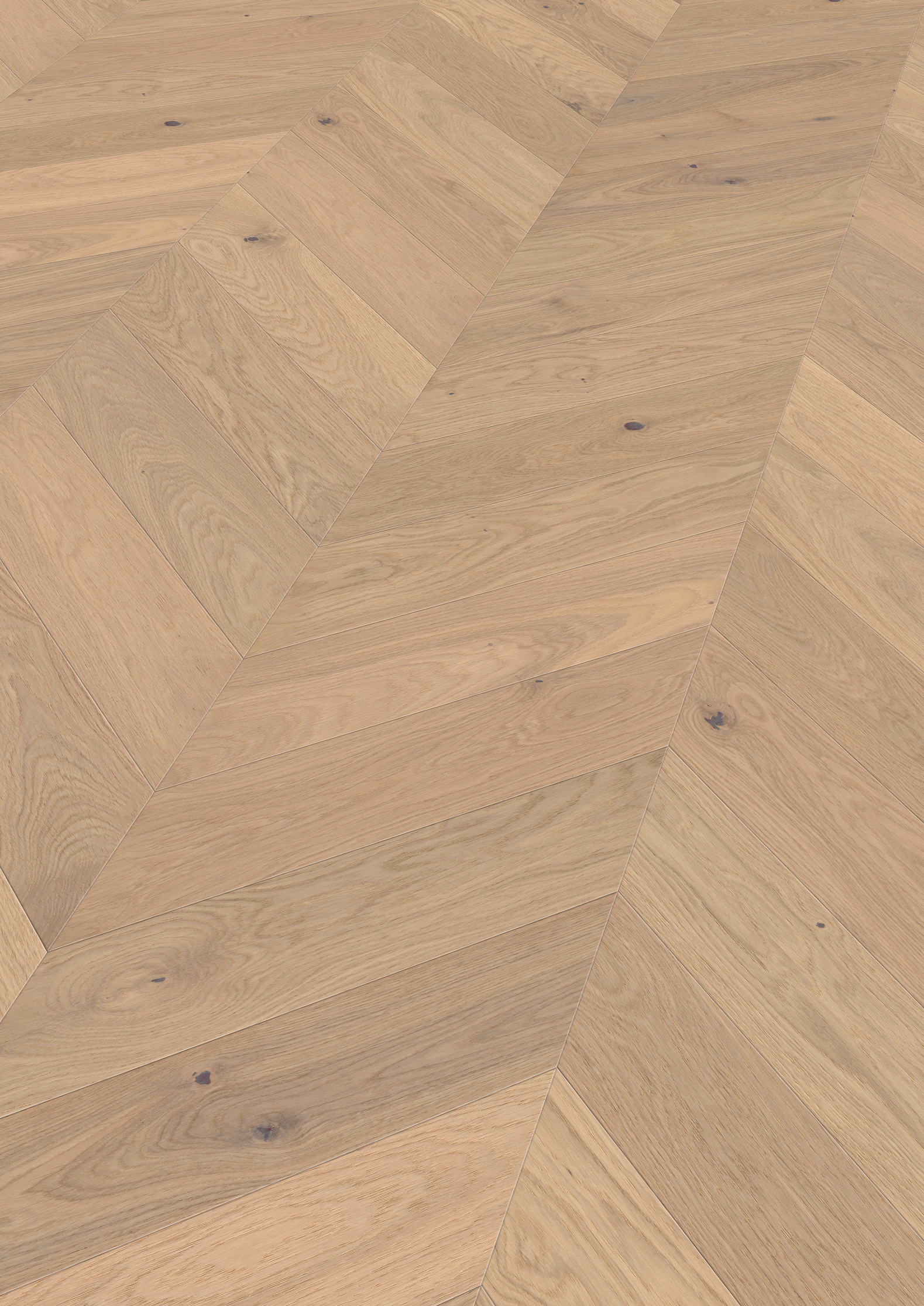 14 mm ter Hürne Parkett EVO - Eiche Ravello_1 14 mm ter Hürne Parkett EVO - Eiche Ravello_1