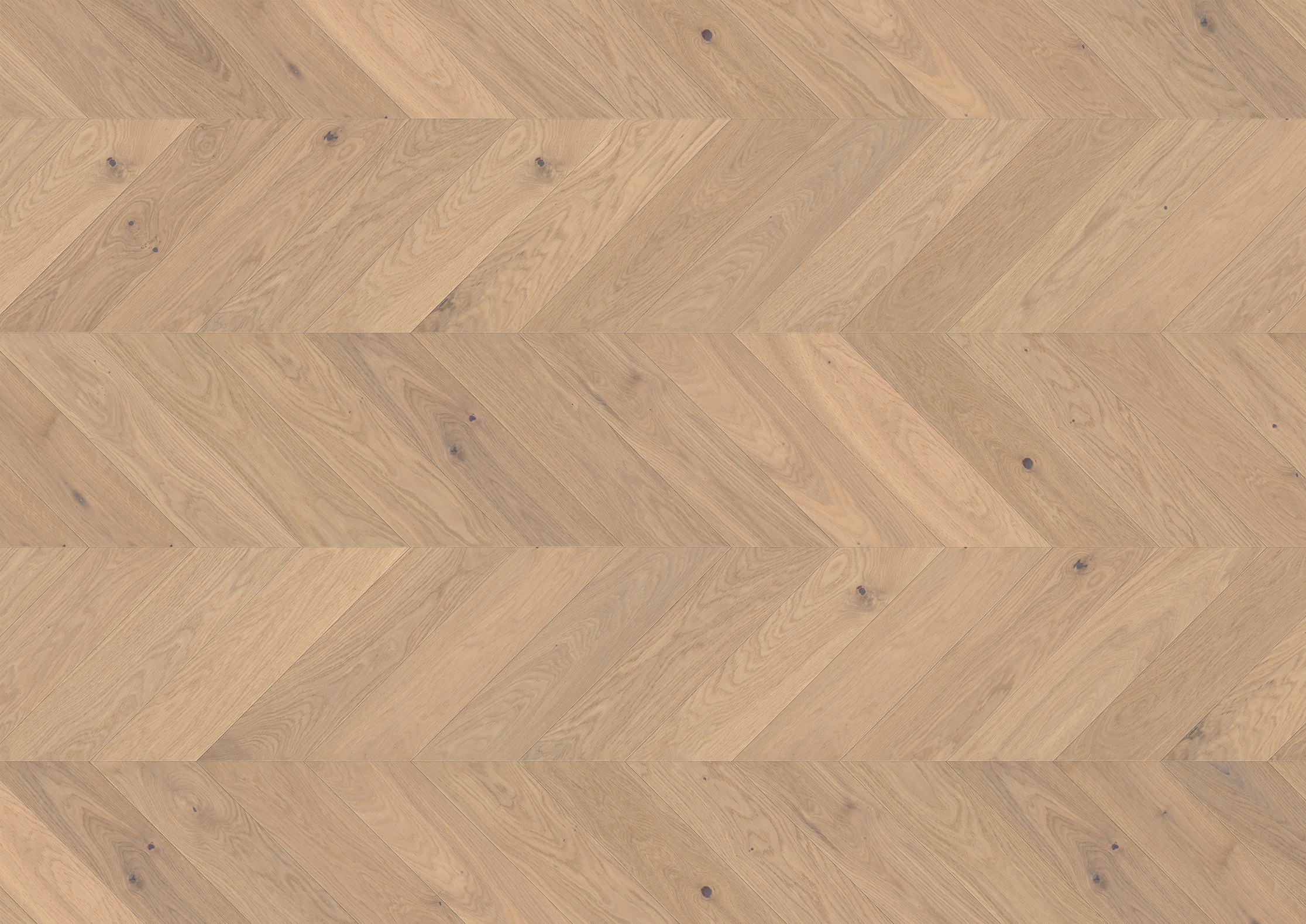 14 mm ter Hürne Parkett EVO - Eiche Ravello_2 14 mm ter Hürne Parkett EVO - Eiche Ravello_2