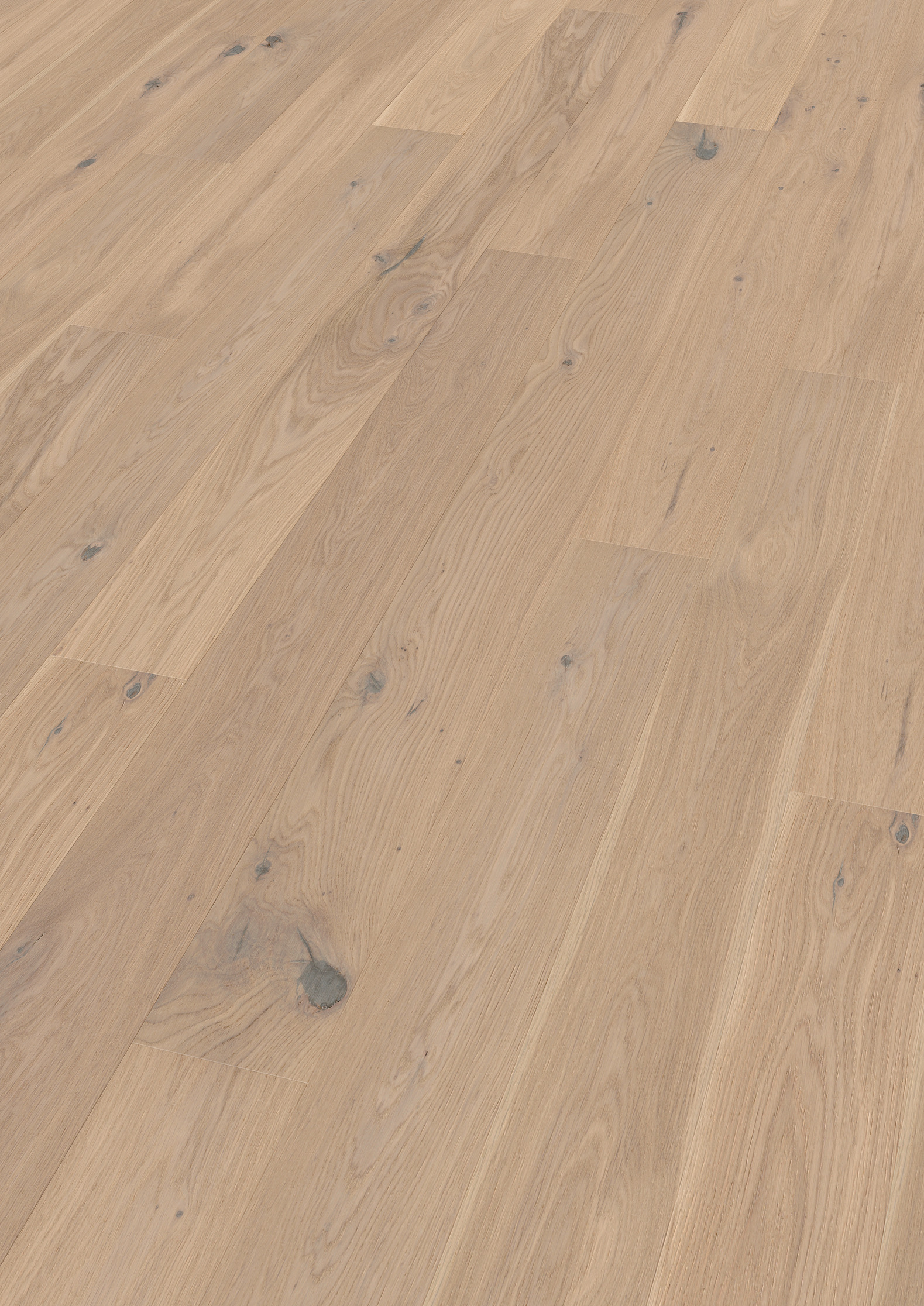 13 mm ter Hürne Parkett - Eiche Cremant_1 13 mm ter Hürne Parkett - Eiche Cremant_1