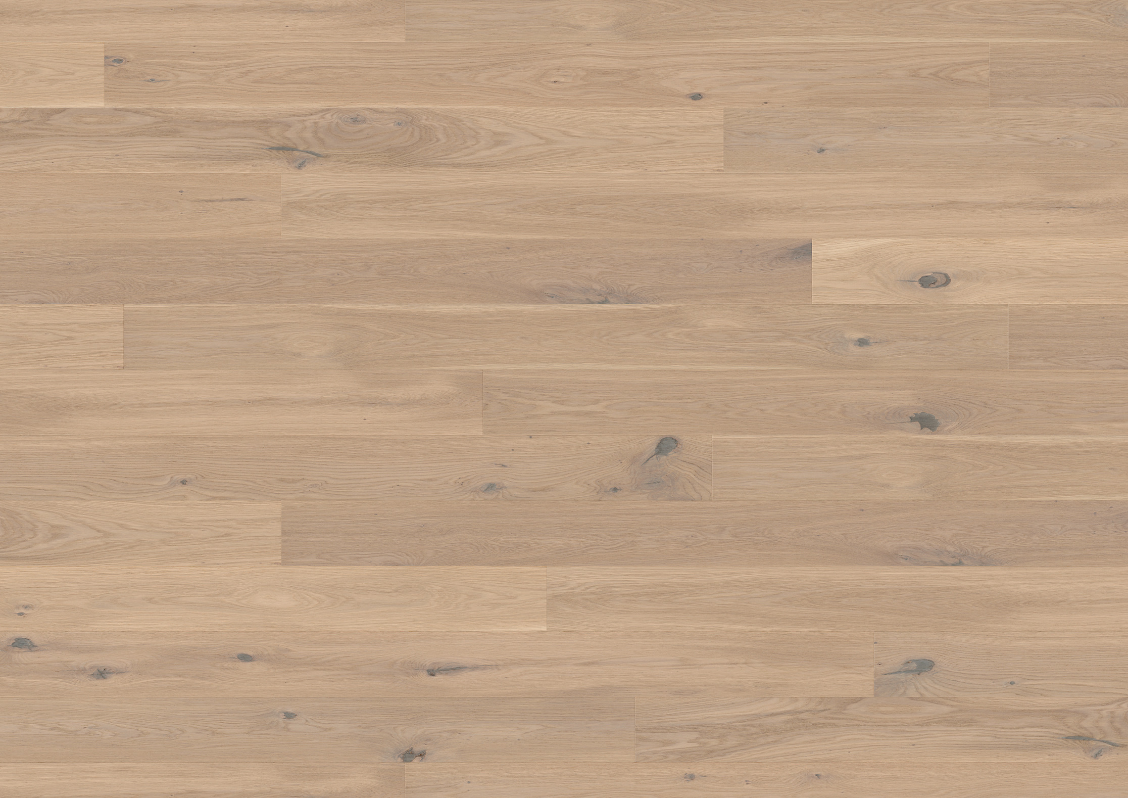 13 mm ter Hürne Parkett - Eiche Cremant_3