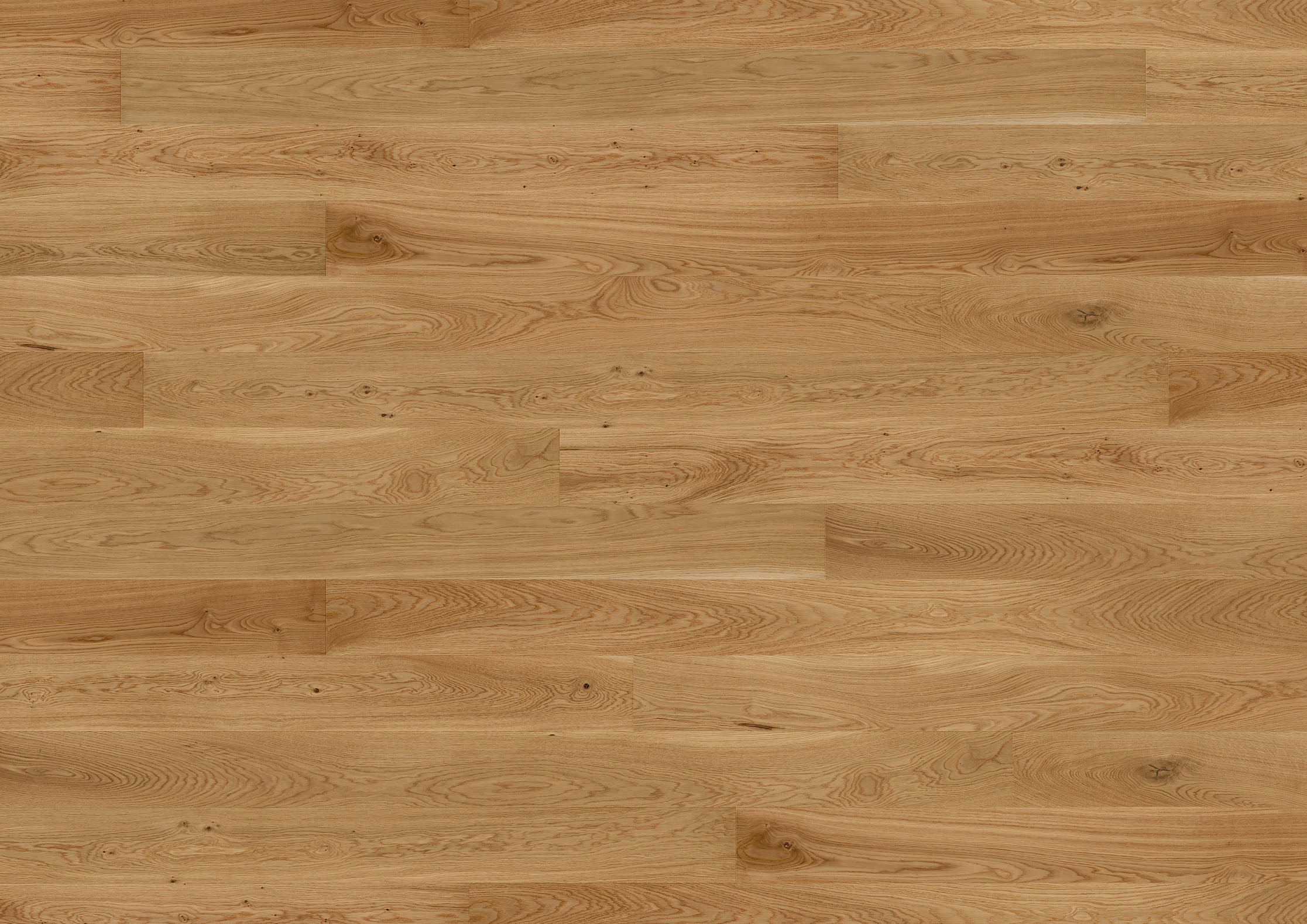 13 mm ter Hürne Parkett - Eiche Molinaria_3 13 mm ter Hürne Parkett - Eiche Molinaria_3