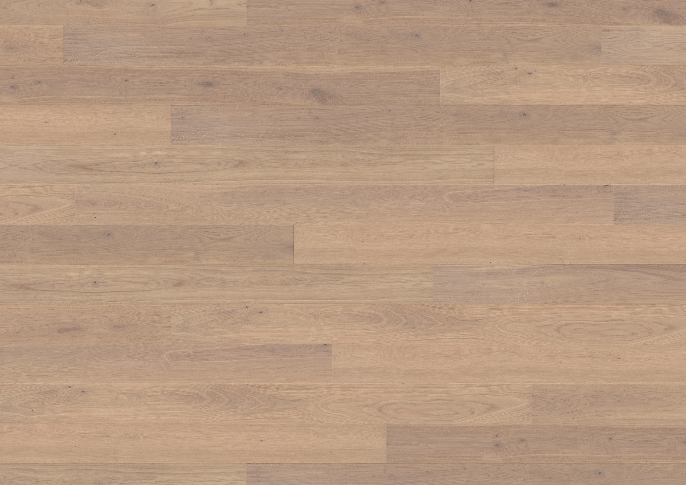 13 mm ter Hürne Parkett - Eiche Gavi_3 13 mm ter Hürne Parkett - Eiche Gavi_3