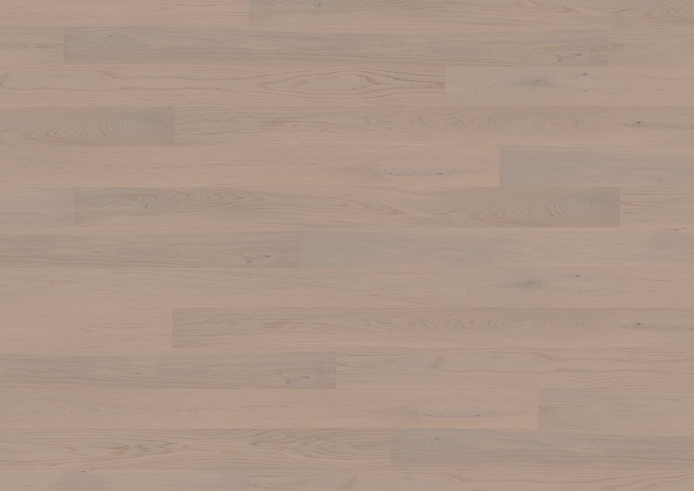 13 mm ter Hürne Parkett - Eiche Rheingau_3 13 mm ter Hürne Parkett - Eiche Rheingau_3