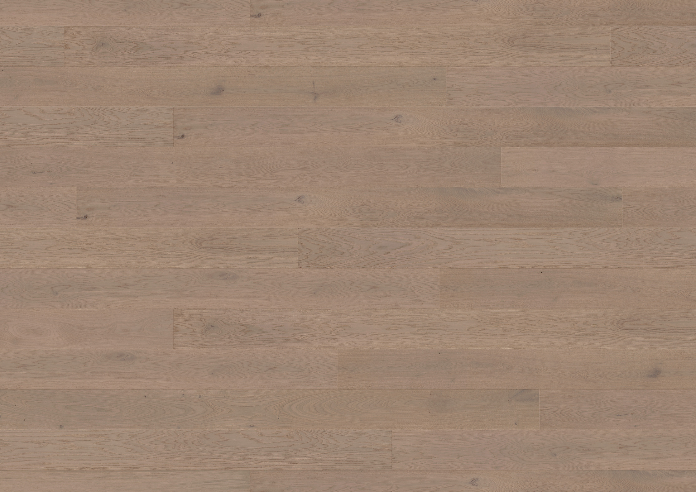 13 mm ter Hürne Parkett - Eiche Chablis_3