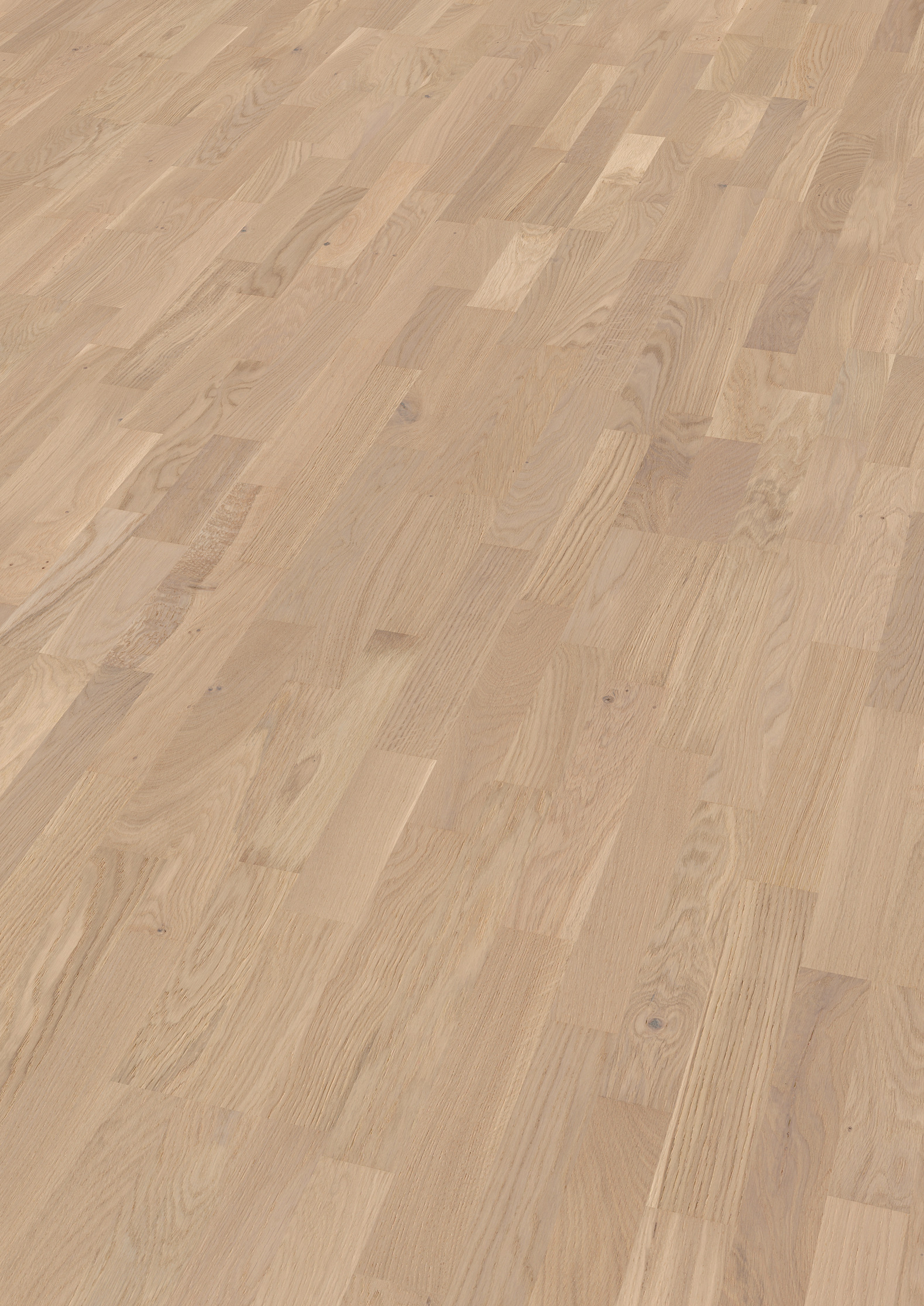 13 mm ter Hürne Parkett - Eiche Champagne_1