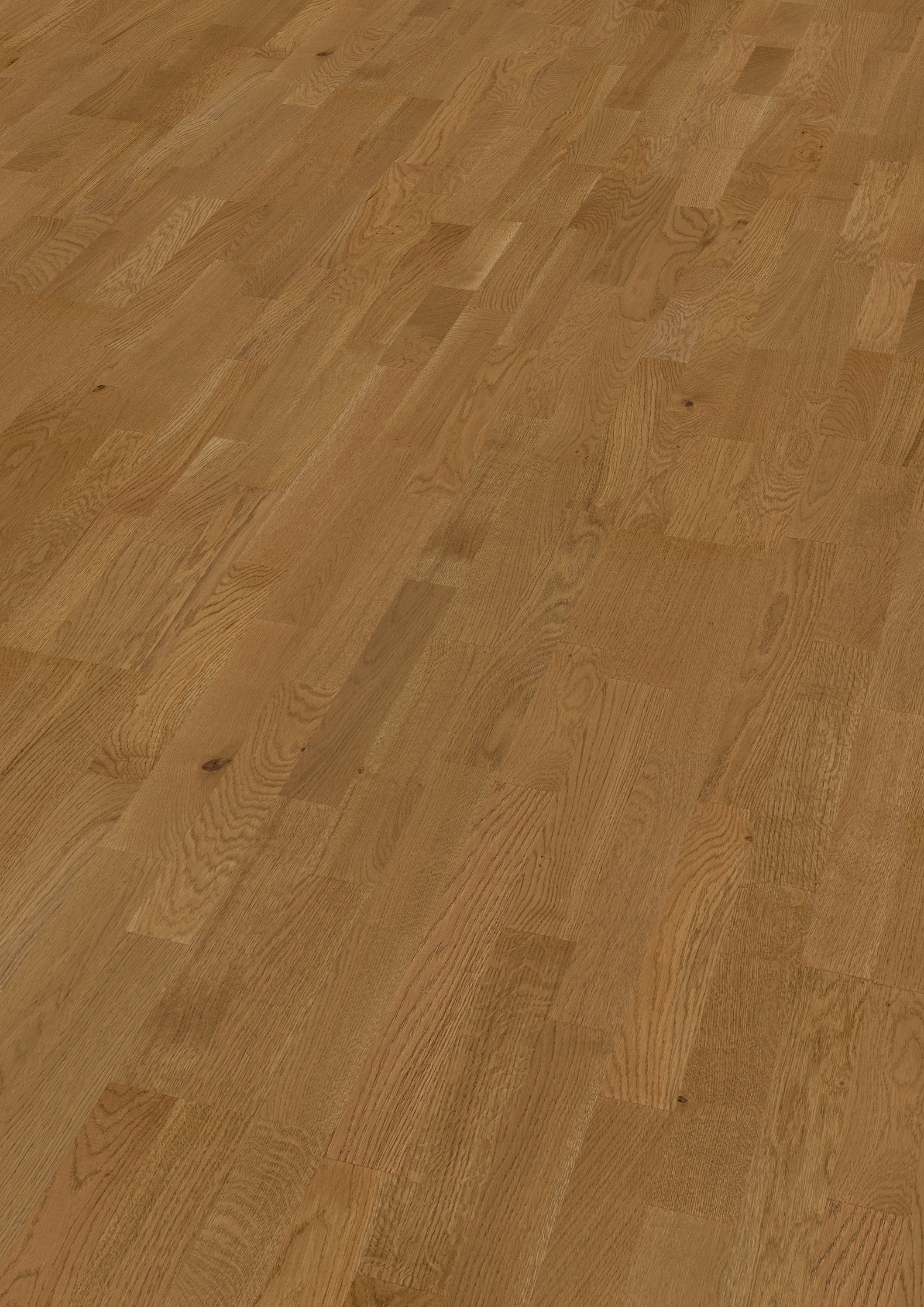 13 mm ter Hürne Parkett - Eiche Amarone_1 13 mm ter Hürne Parkett - Eiche Amarone_1