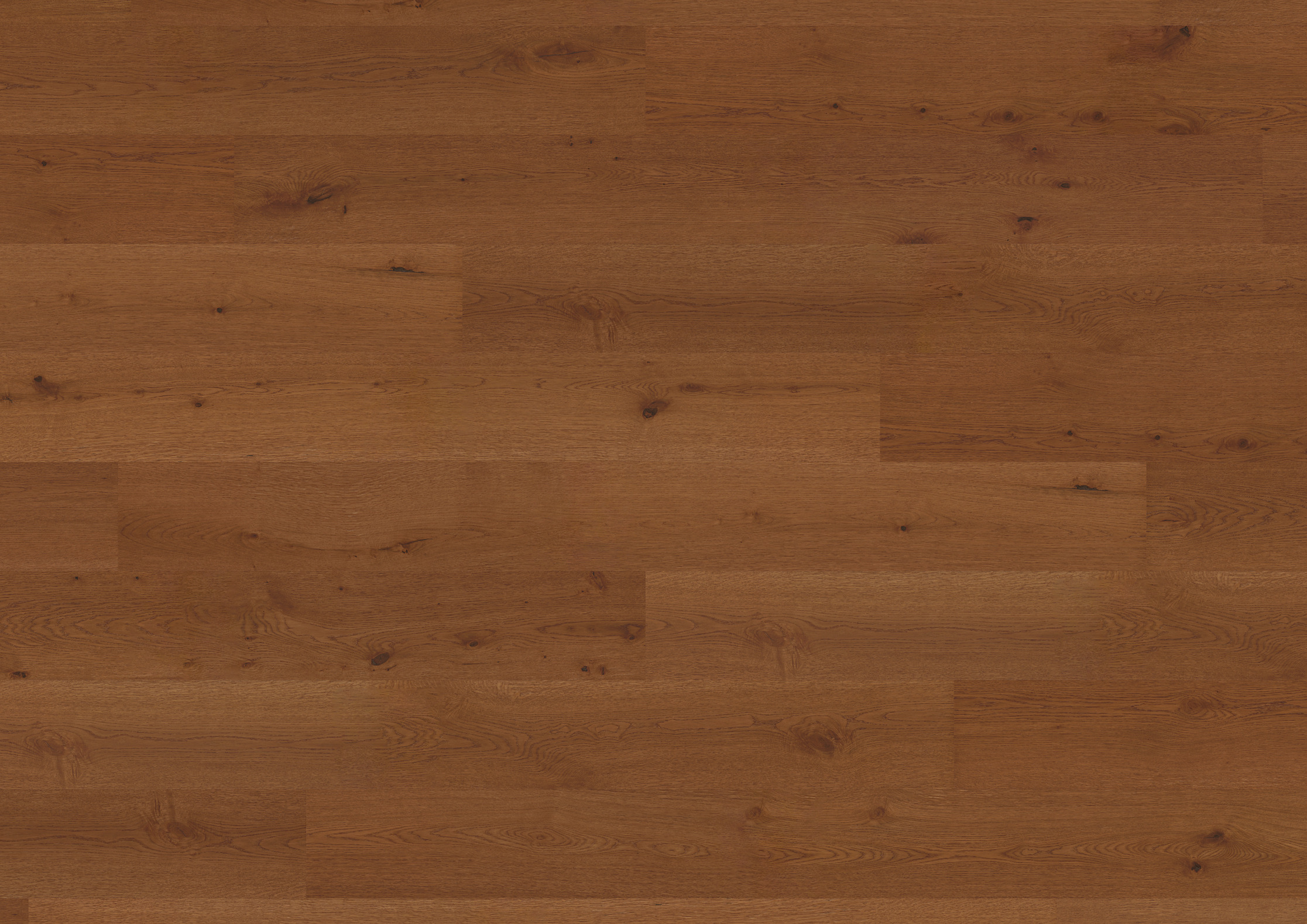 11 mm ter Hürne Hywood EVO - Eiche Joshua Tree_1 11 mm ter Hürne Hywood EVO - Eiche Joshua Tree_1