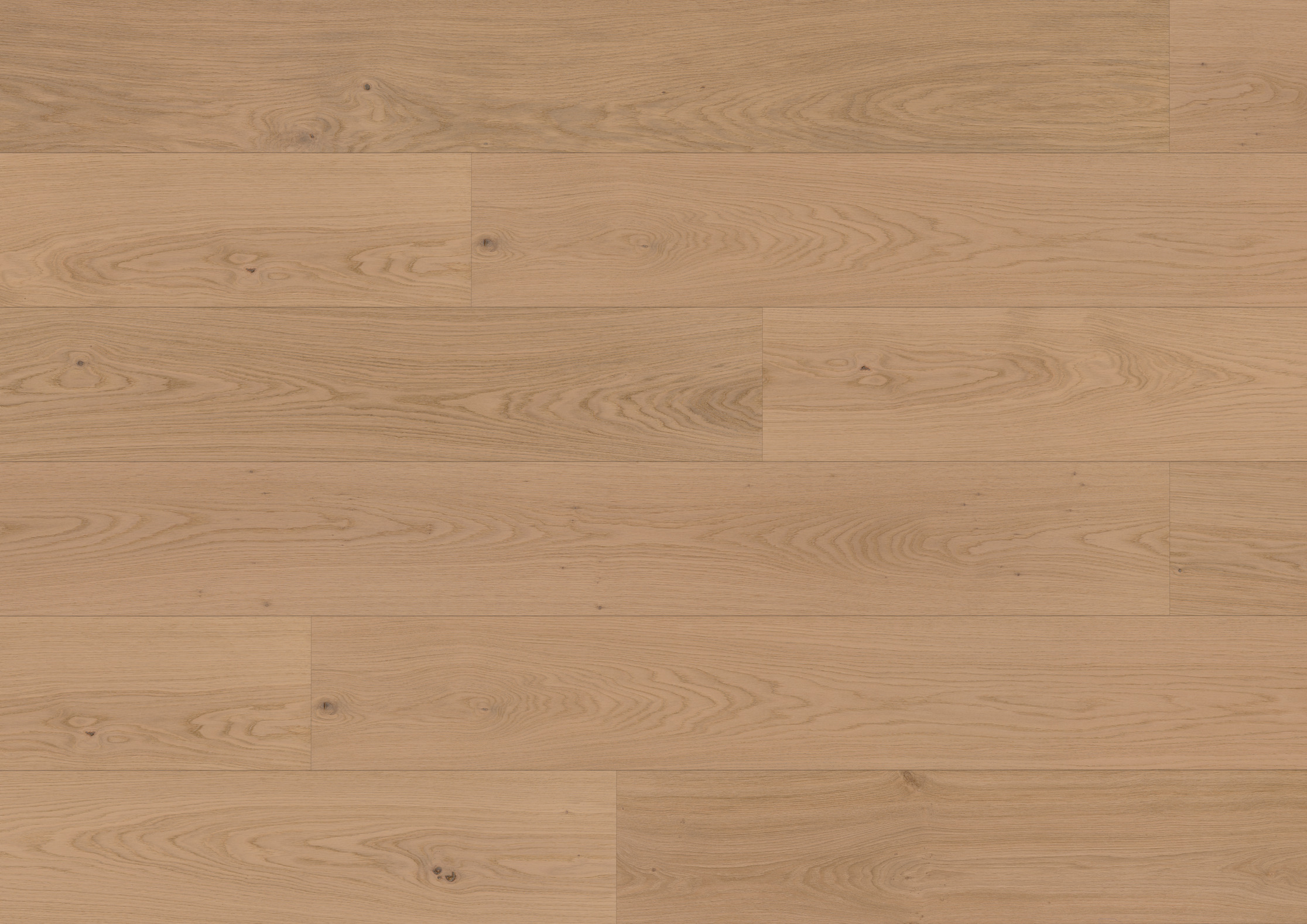11 mm ter Hürne Hywood EVO - Eiche Pirin_1 11 mm ter Hürne Hywood EVO - Eiche Pirin_1