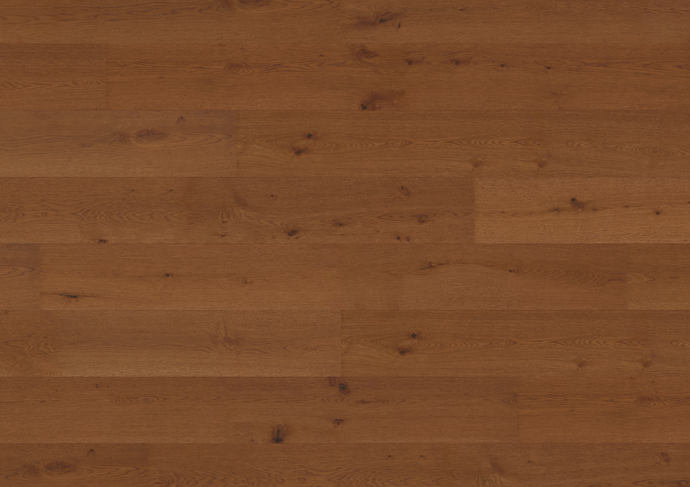 11 mm ter Hürne Hywood EVO - Eiche Joshua Tree_1 11 mm ter Hürne Hywood EVO - Eiche Joshua Tree_1