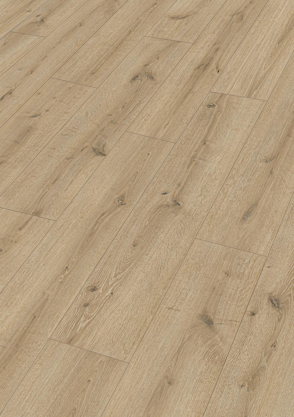 8 mm MeisterDesign. next DD 500 S - Turmeiche creme 07120_0