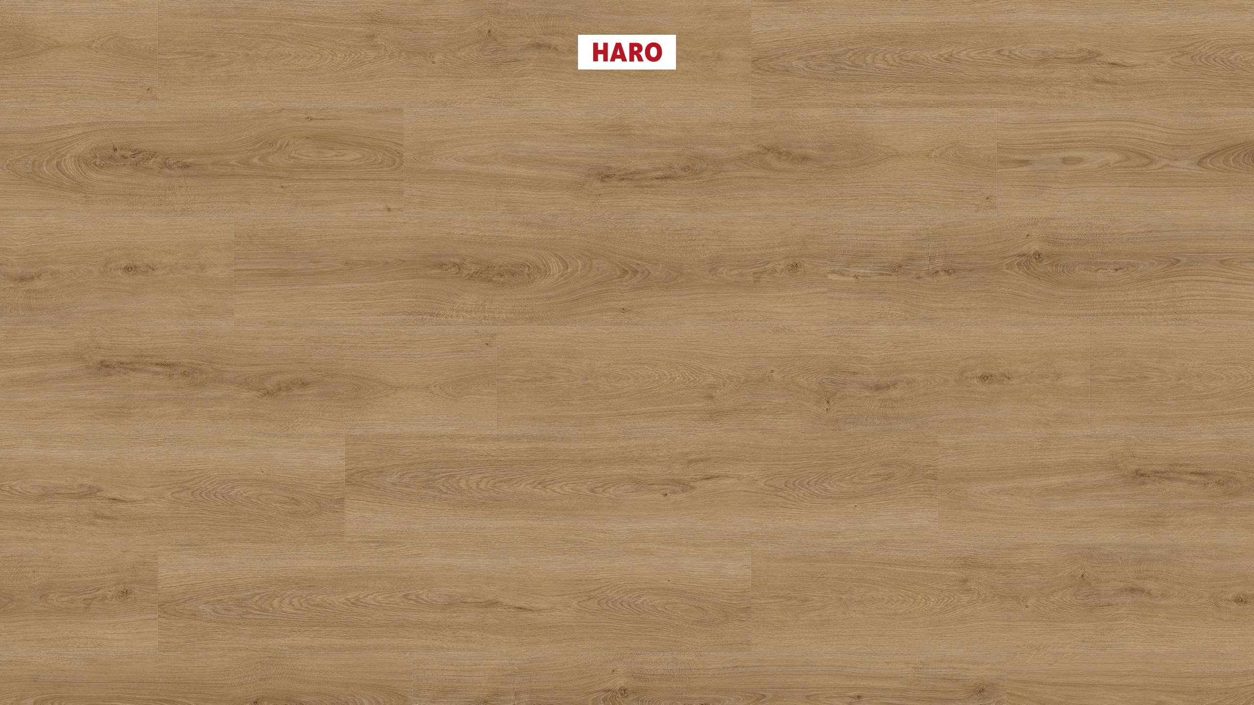 2 mm HARO DISANO Project - Eiche Sheffield natur_1