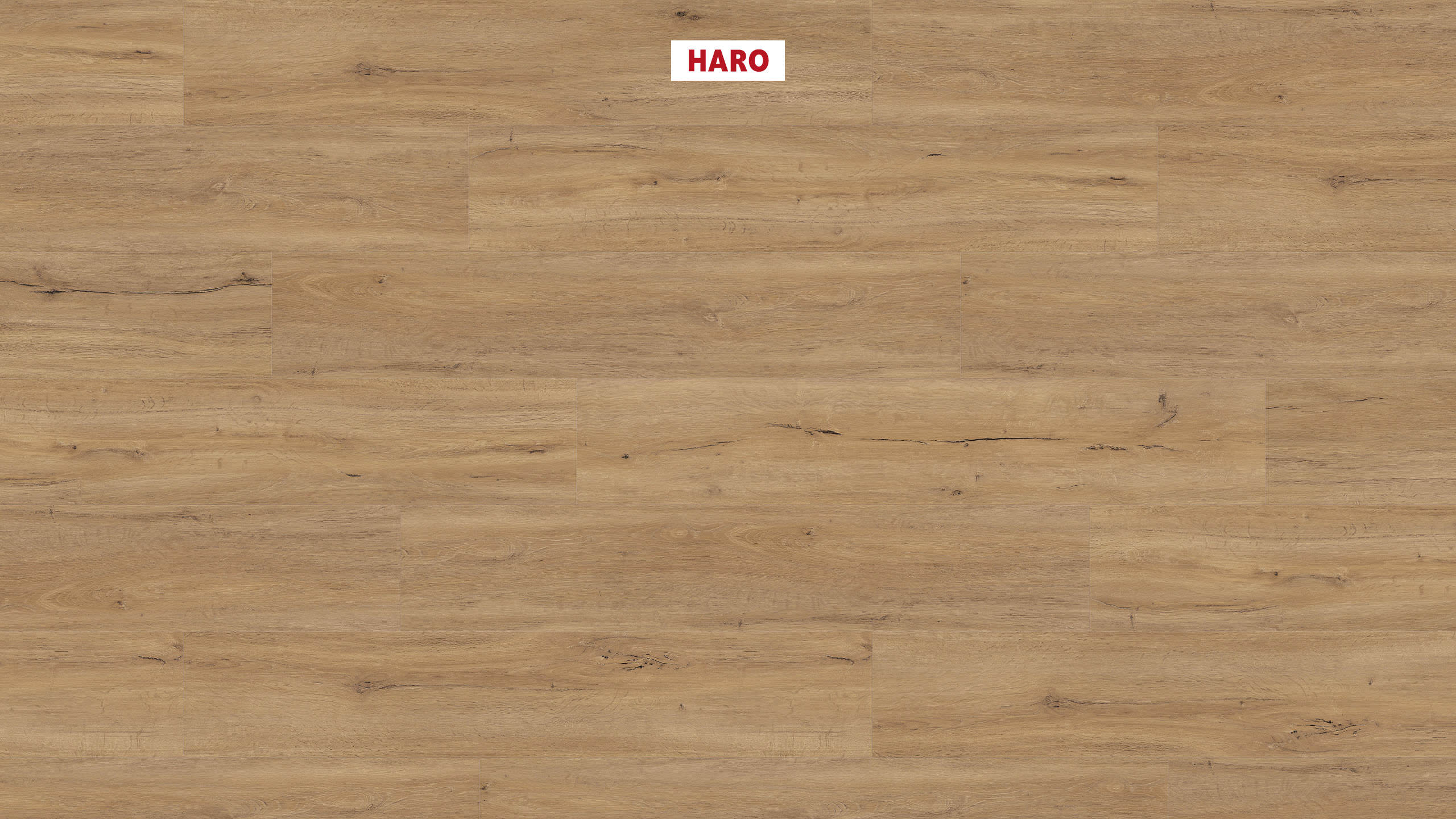 2 mm HARO DISANO Project - Eiche Columbia natur_1 2 mm HARO DISANO Project - Eiche Columbia natur_1