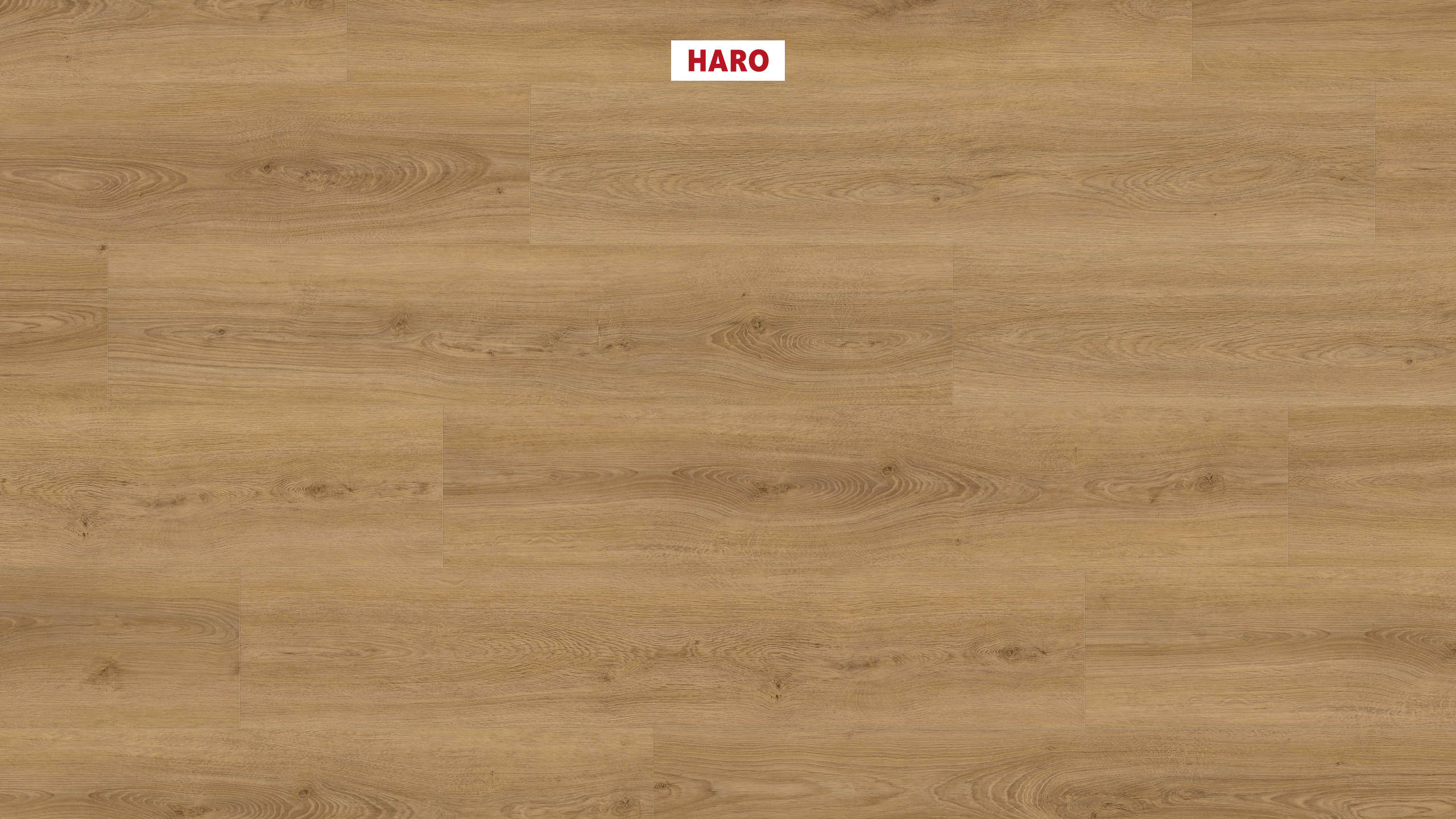 2 mm HARO DISANO Project - Eiche Sheffield Honig_1 2 mm HARO DISANO Project - Eiche Sheffield Honig_1