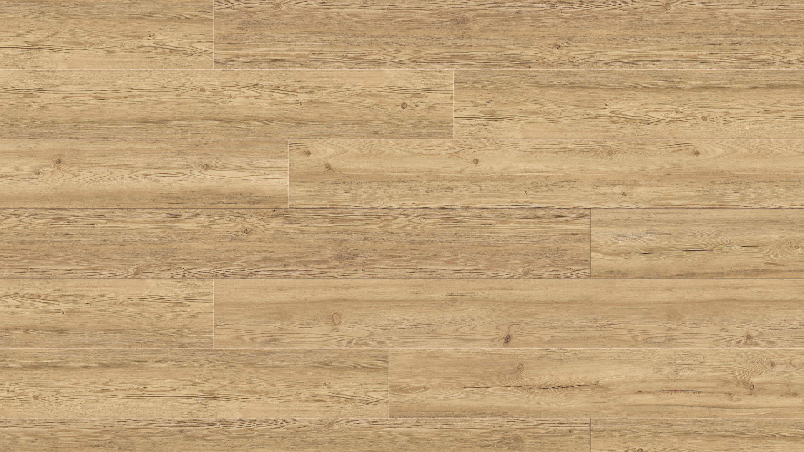 9,8 mm HARO DISANO ClassicAqua - Berglärche puro_1 9,8 mm HARO DISANO ClassicAqua - Berglärche puro_1