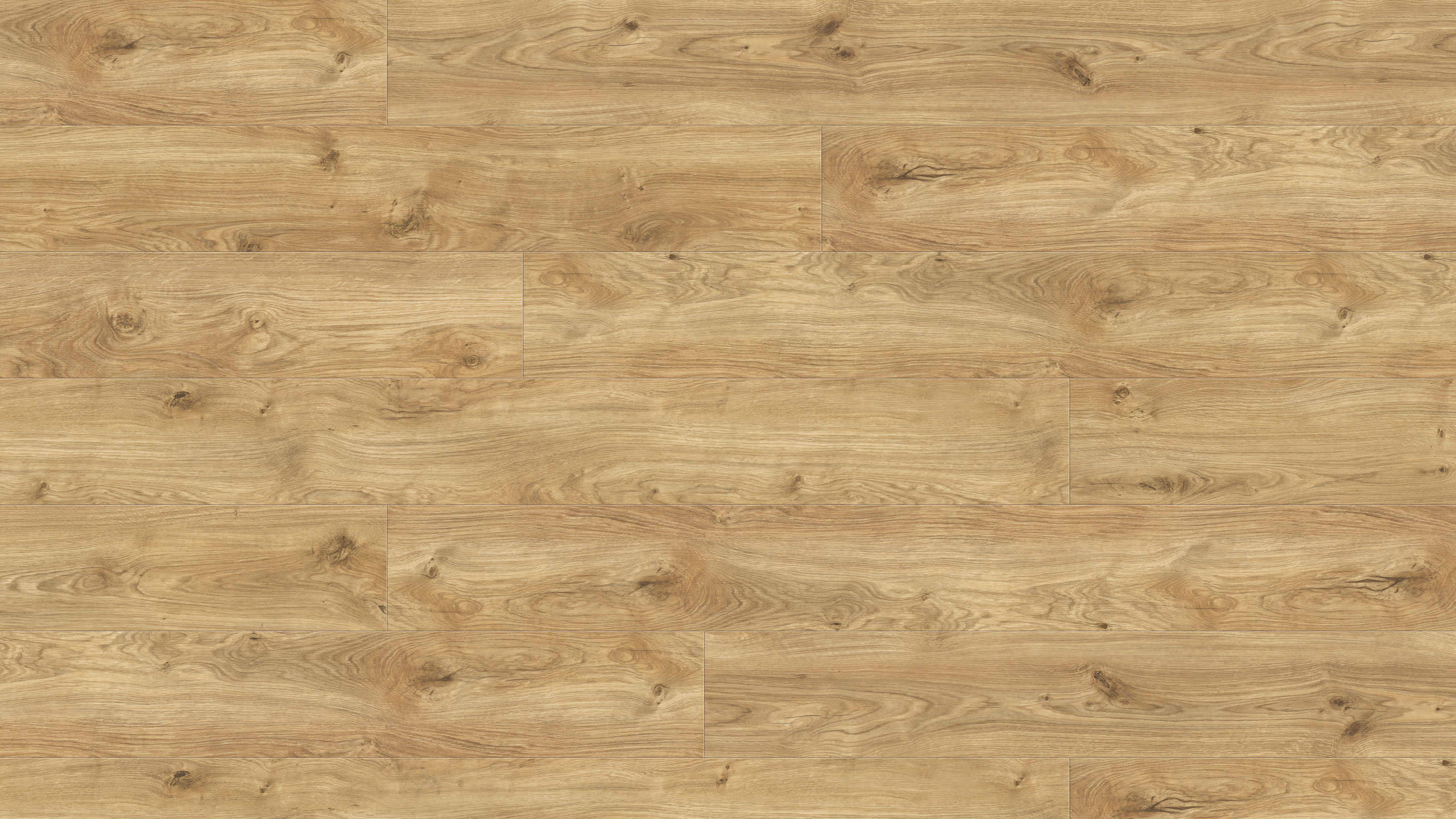 9,8 mm HARO DISANO ClassicAqua - Eiche Phoenix_1