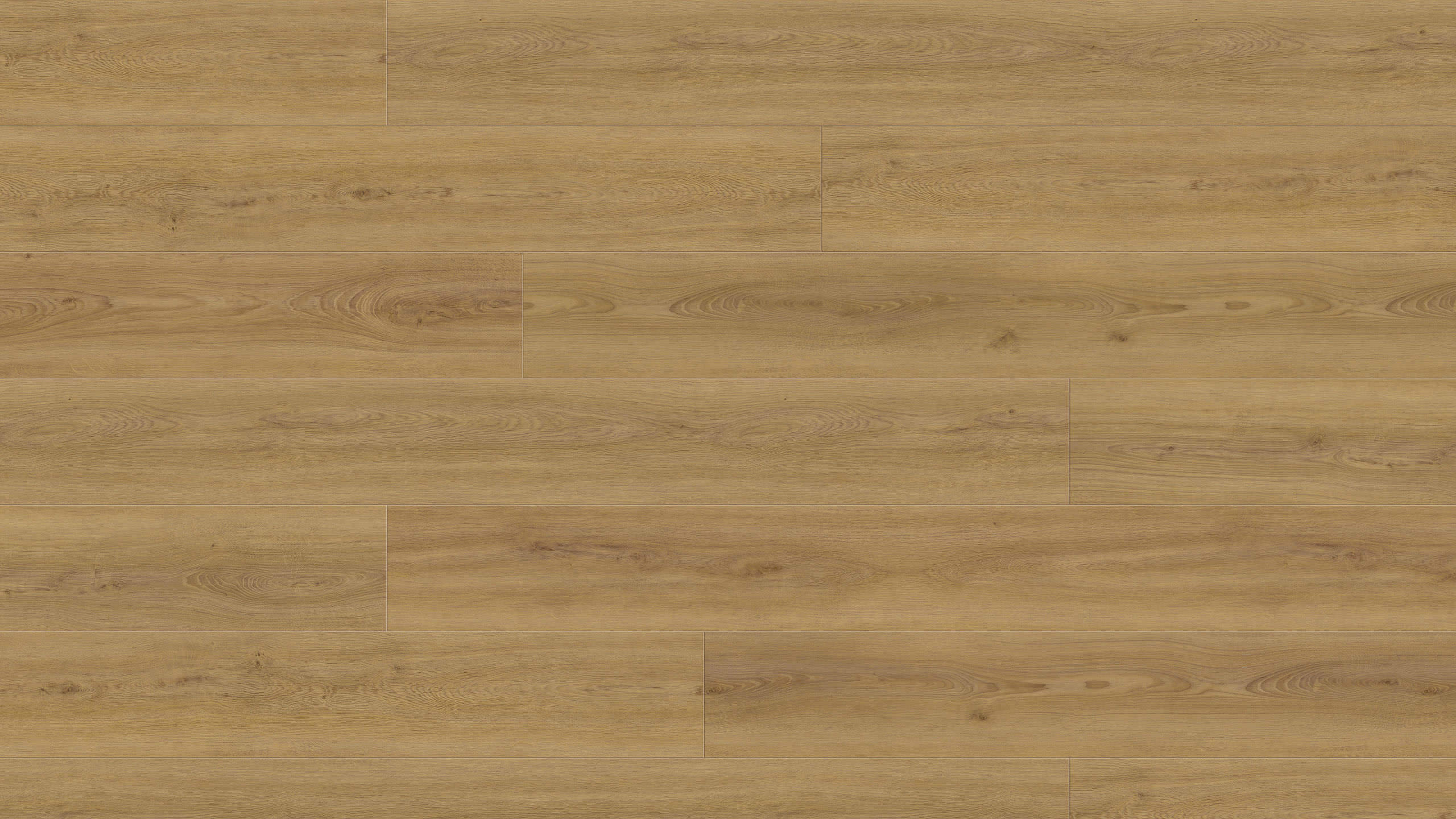 9,8 mm HARO DISANO ClassicAqua - Eiche Sheffield Honig_1